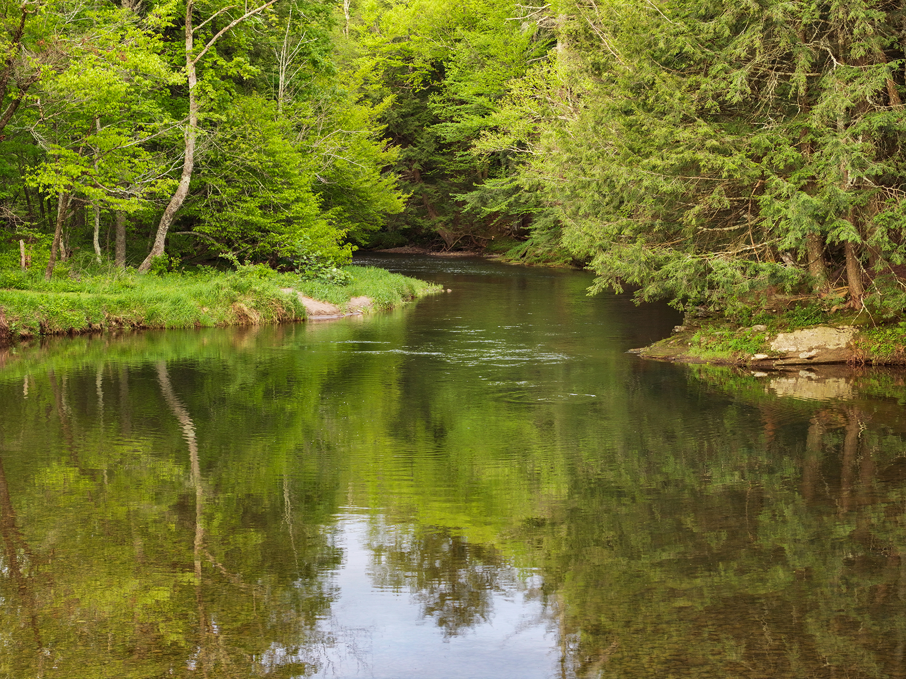 The Willo Preserve property picture 34 of 67