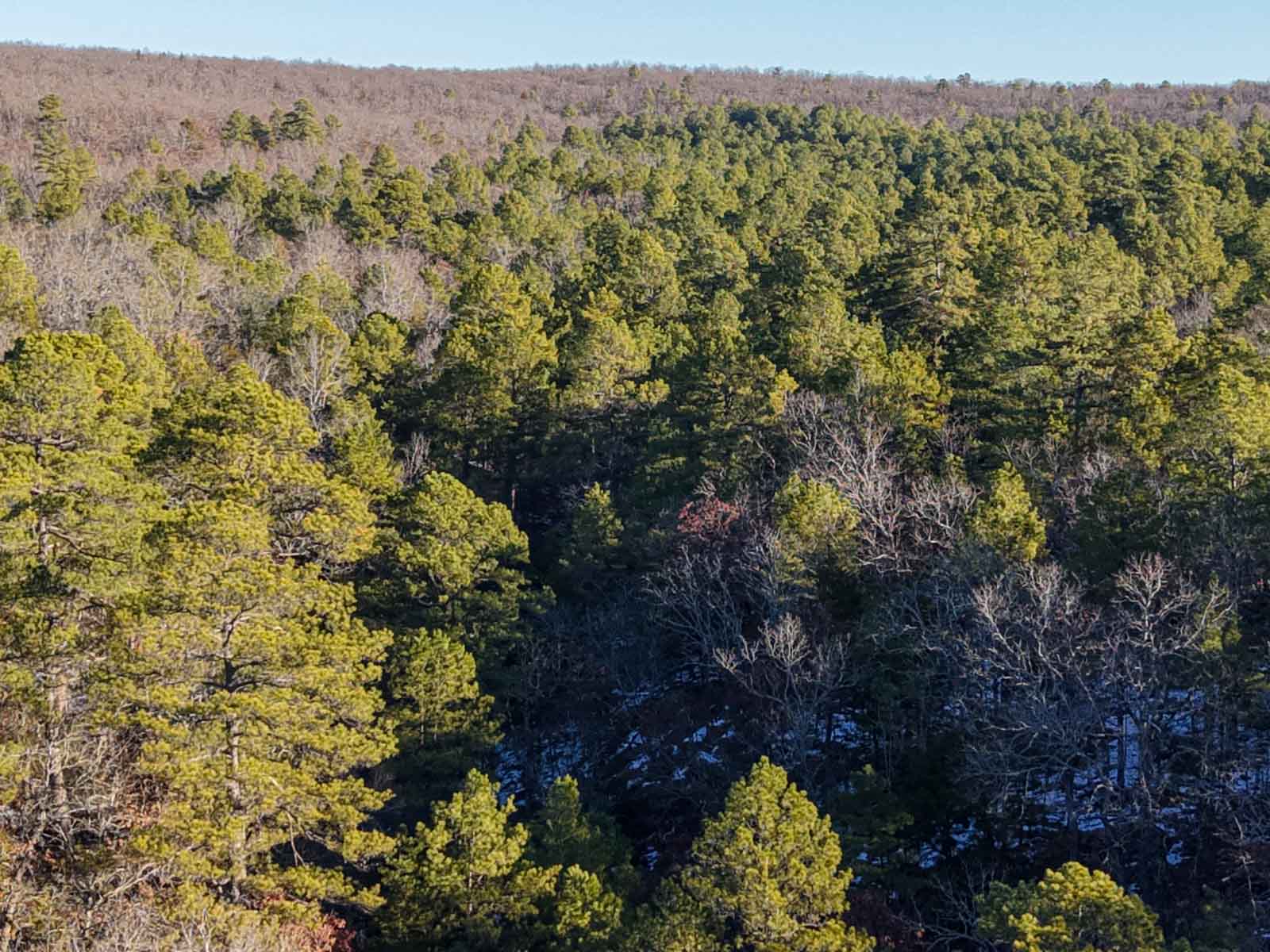 County Line Hideout property picture 5 of 11