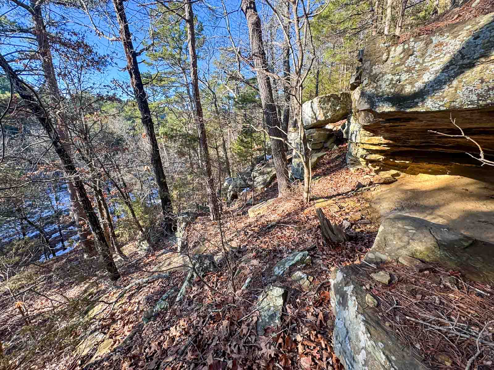 County Line Hideout property picture 8 of 11