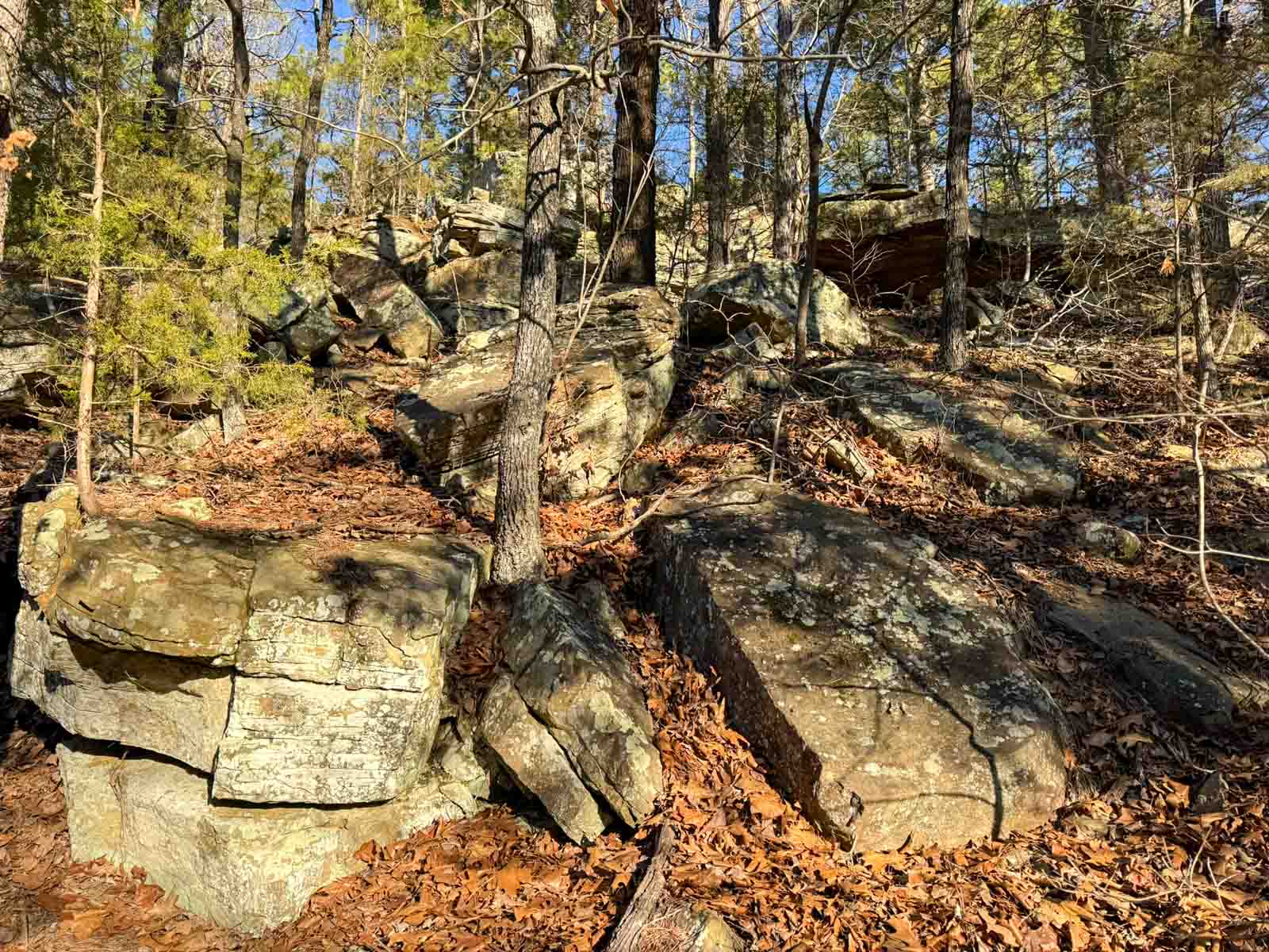 County Line Hideout property picture 6 of 11