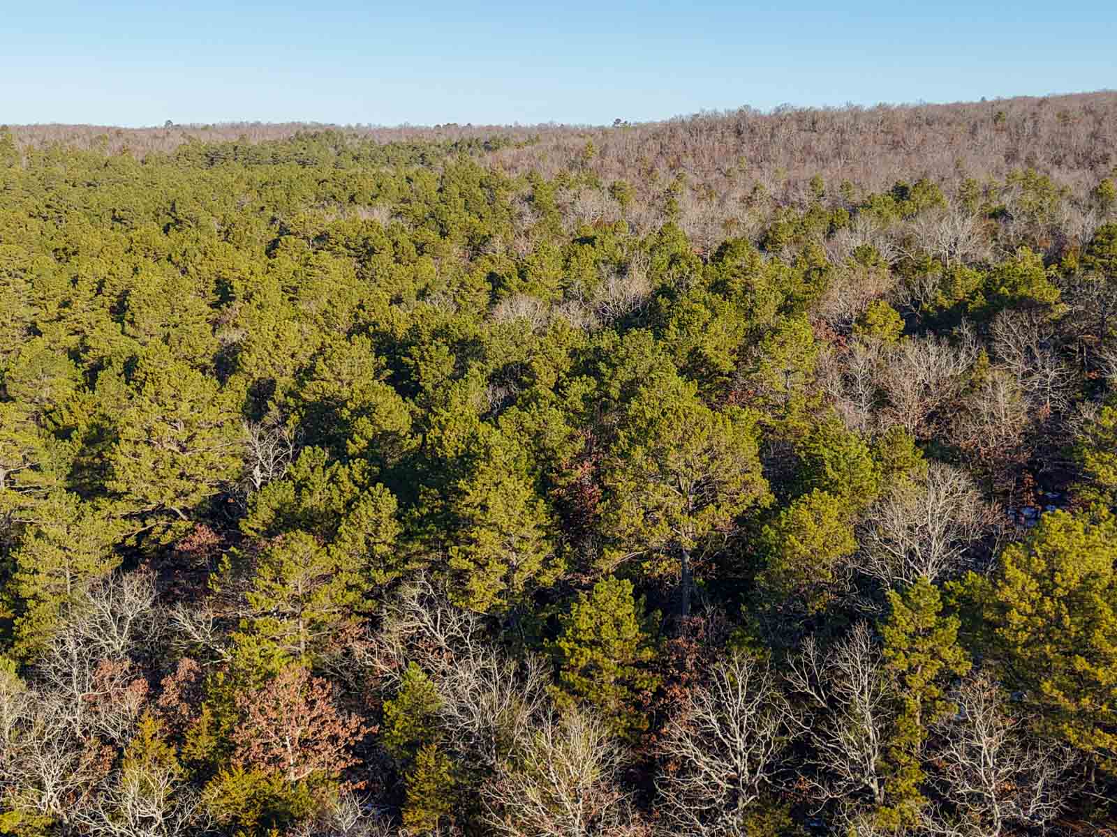 County Line Hideout property picture 4 of 11