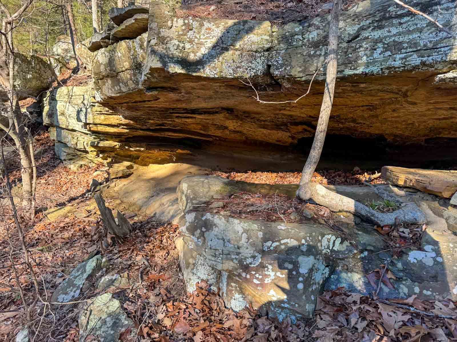 County Line Hideout property picture 7 of 11