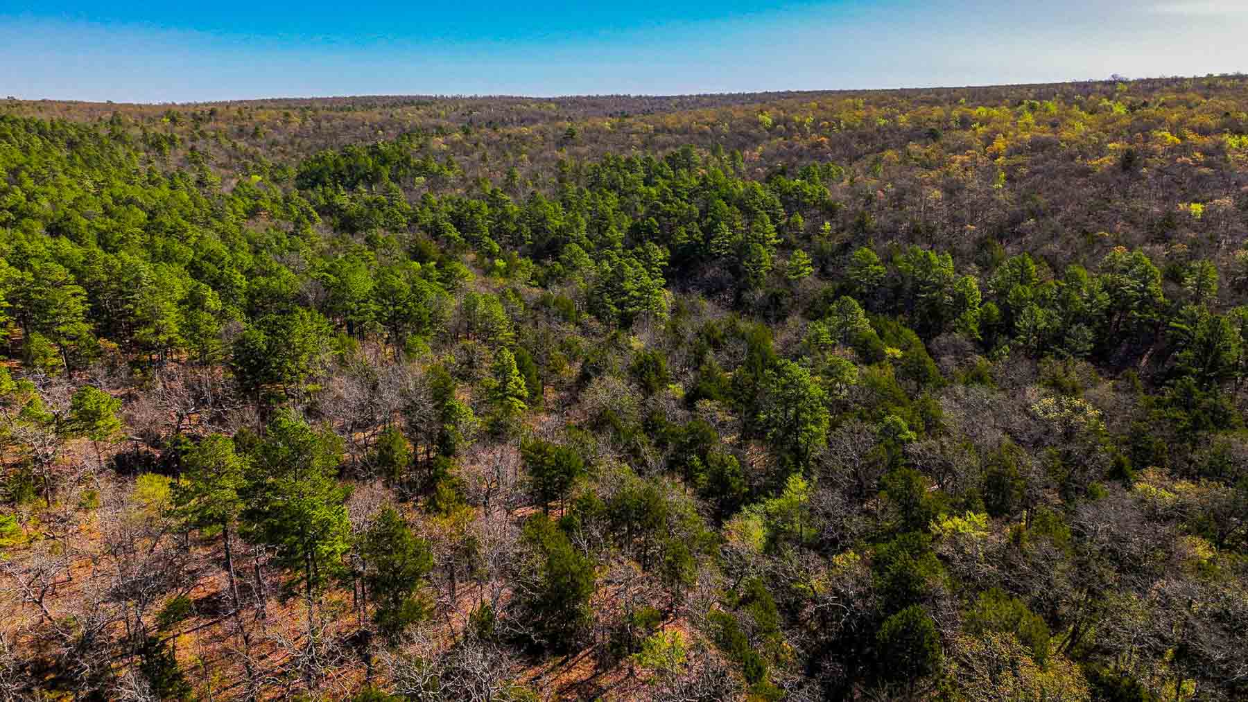 County Line Hideout property picture 10 of 11