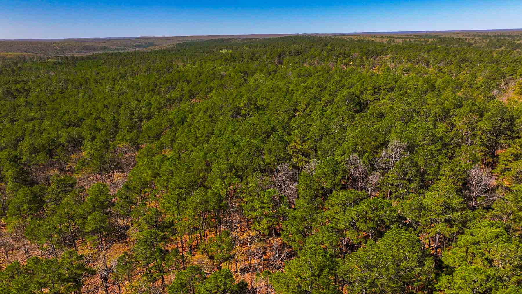 County Line Hideout property picture 11 of 11