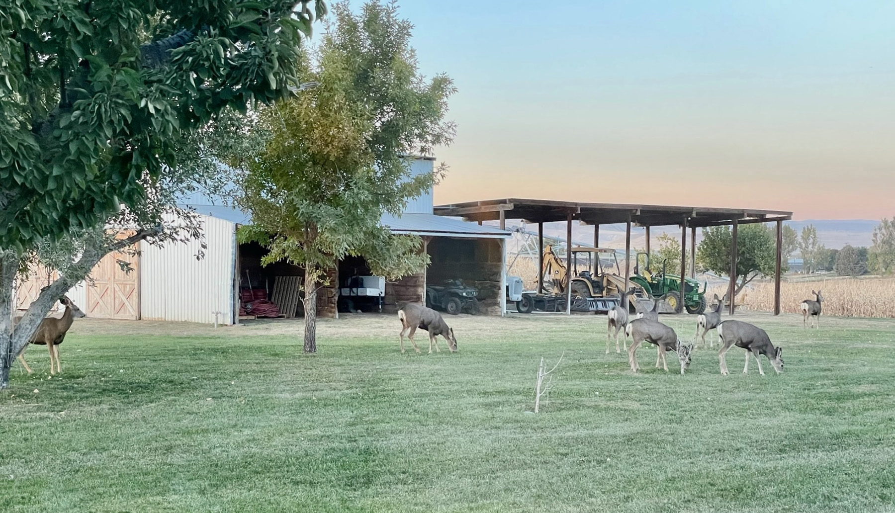 Snake River Retreat property picture 98 of 100