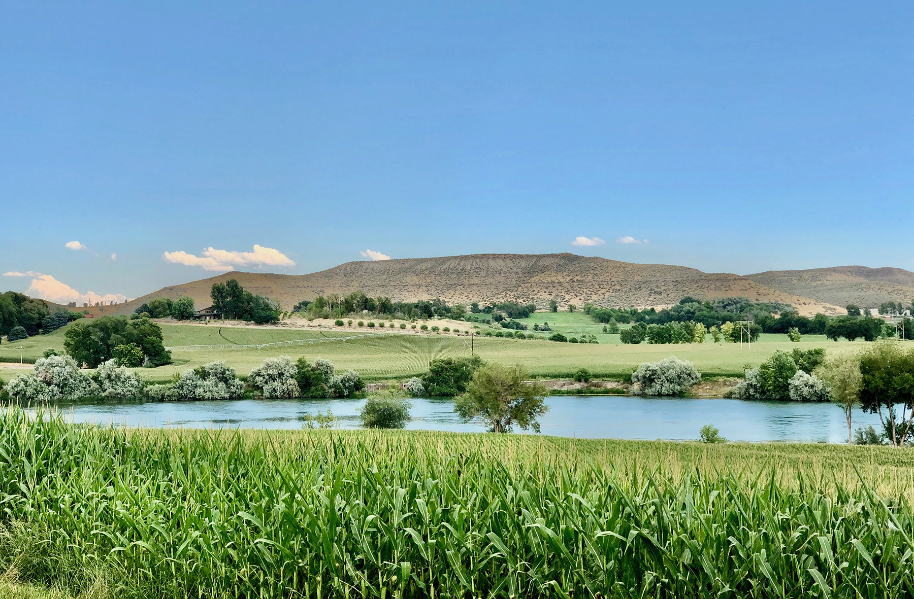 Snake River Retreat property picture 86 of 100