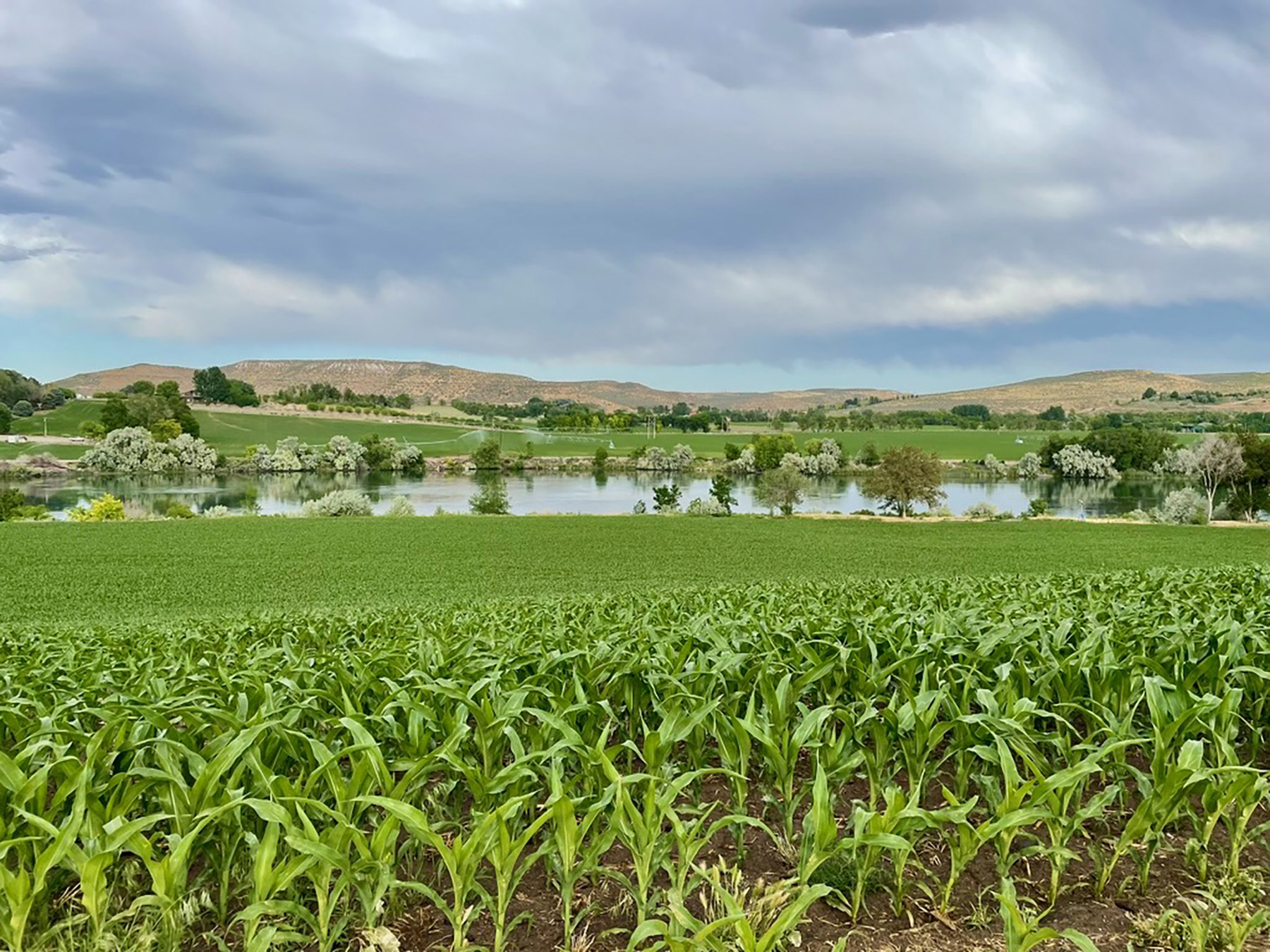 Snake River Retreat property picture 87 of 100