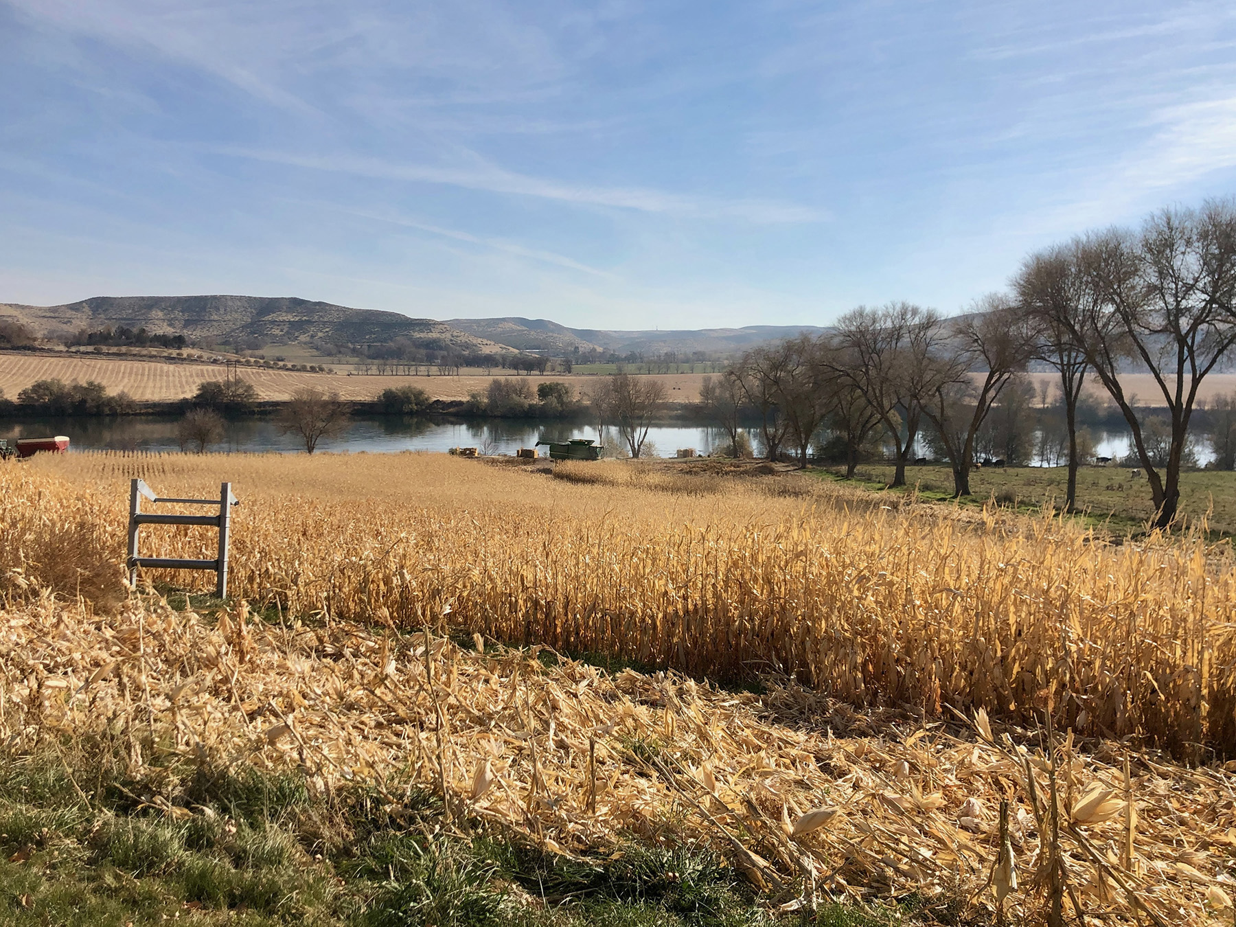 Snake River Retreat property picture 89 of 100
