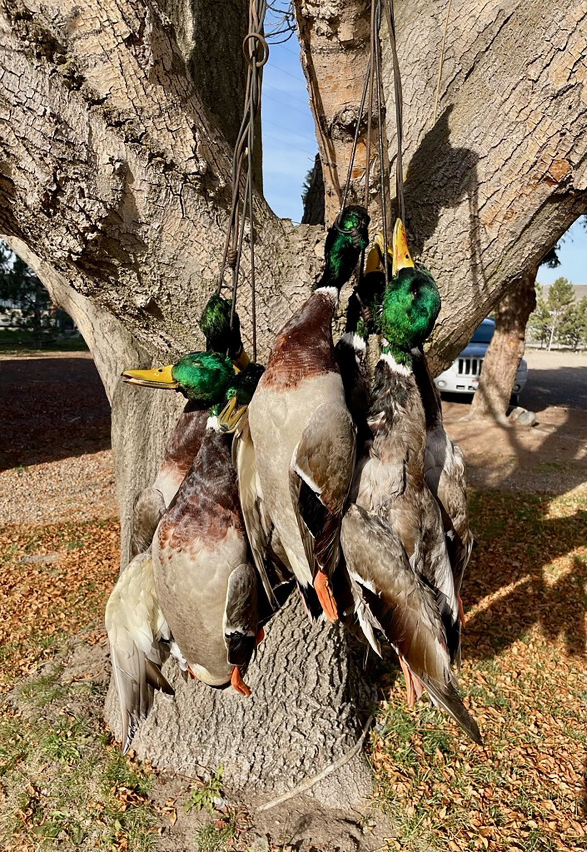 Snake River Retreat property picture 94 of 100