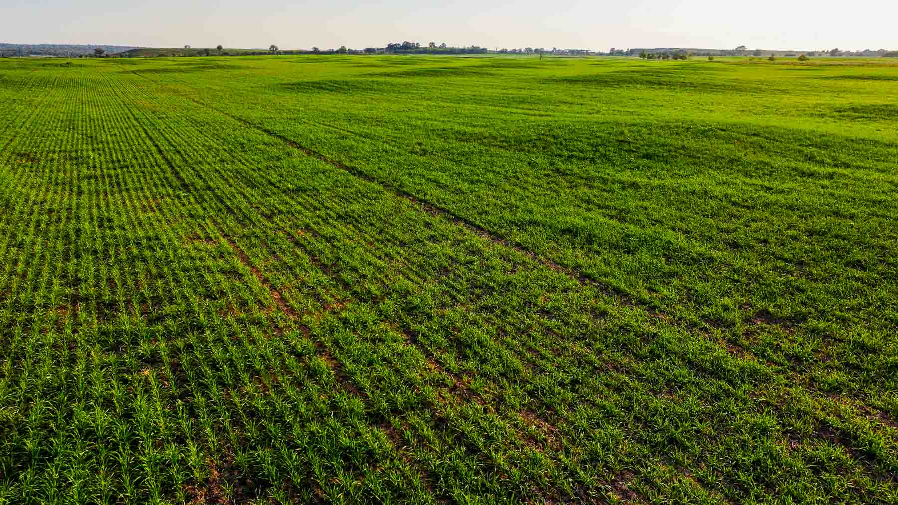 Keota Ranch property picture 57 of 60