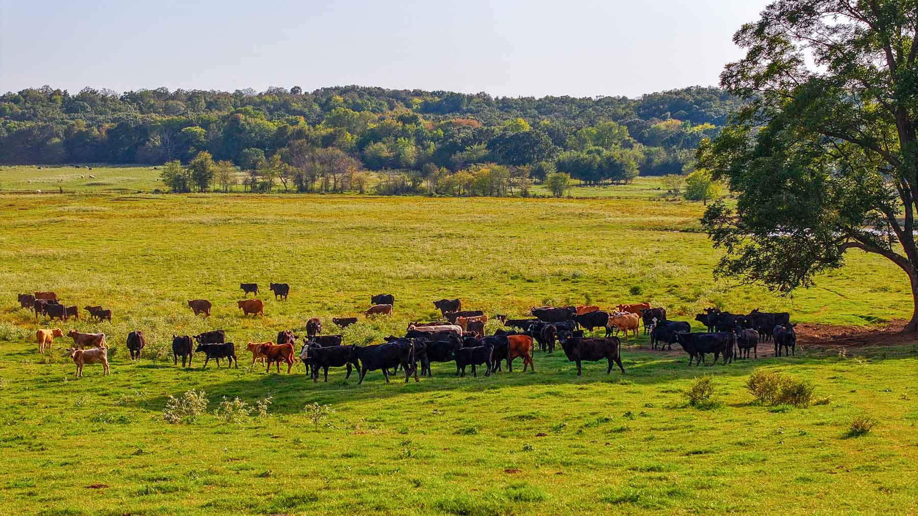 Keota Ranch property picture 23 of 60