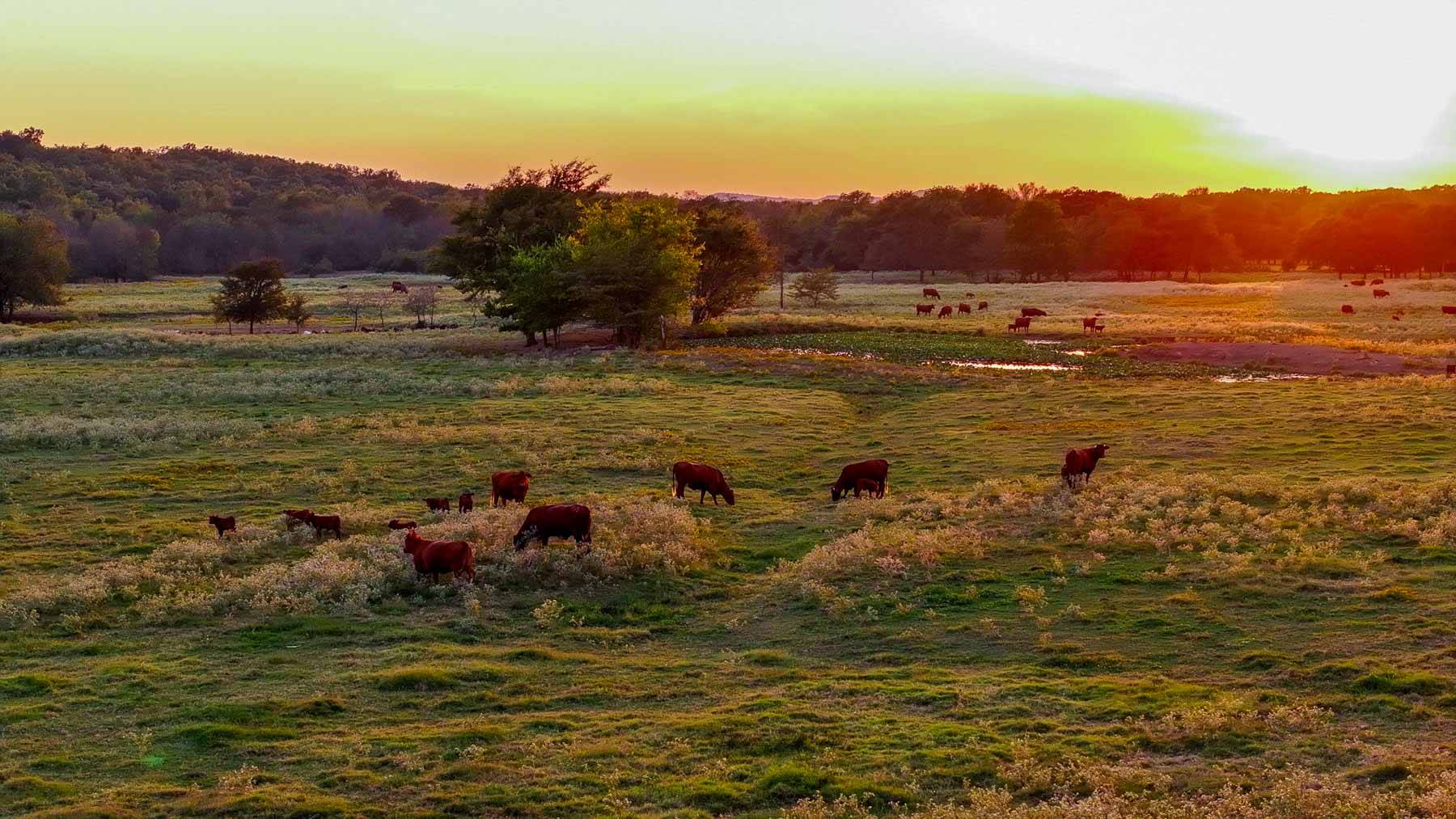 Keota Ranch property picture 8 of 60