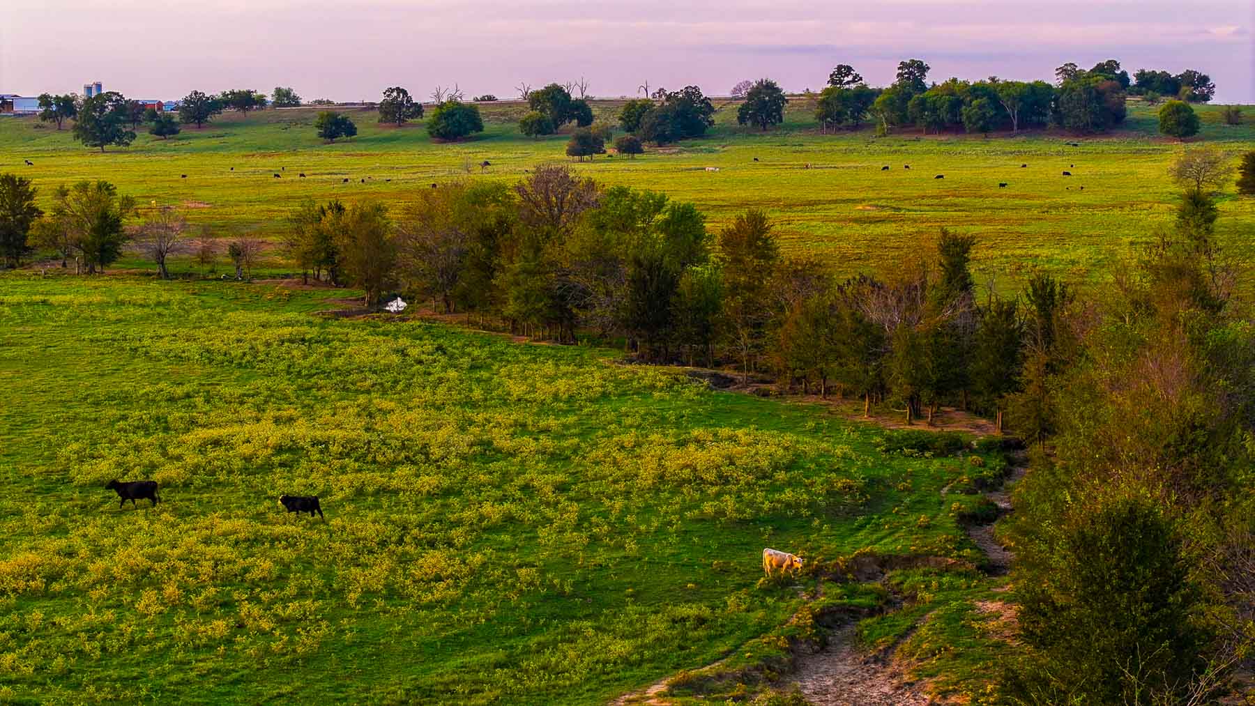 Keota Ranch property picture 19 of 60