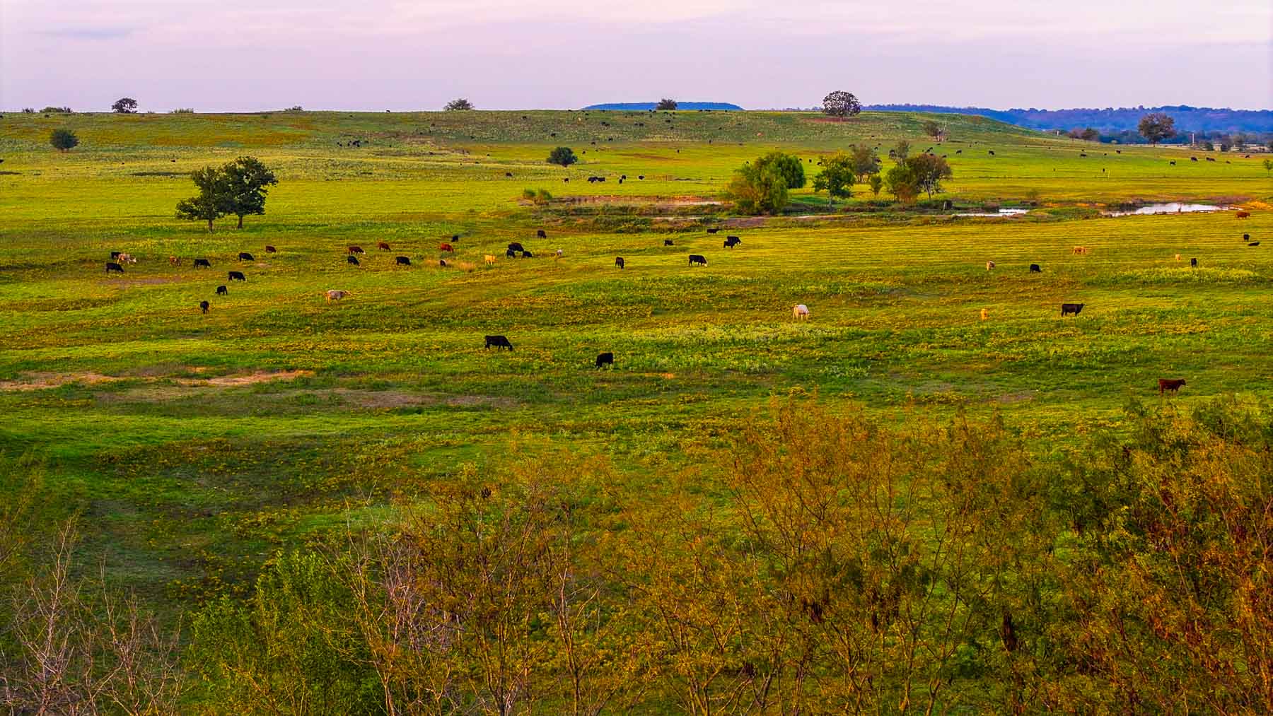 Keota Ranch property picture 48 of 60