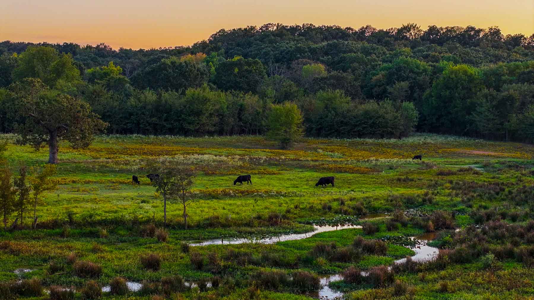 Keota Ranch property picture 18 of 60