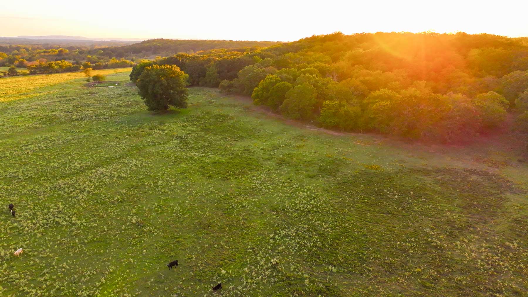 Keota Ranch property picture 36 of 60