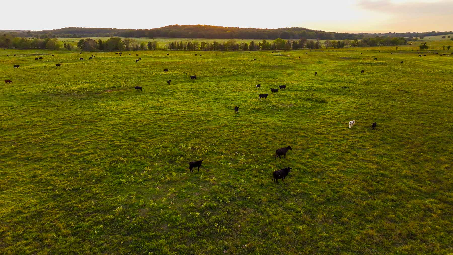 Keota Ranch property picture 53 of 60