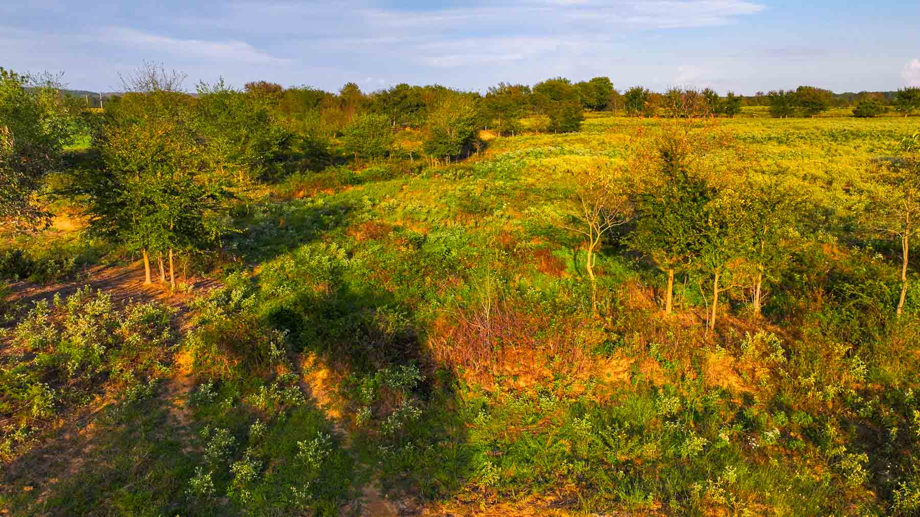 Keota Ranch property picture 59 of 60