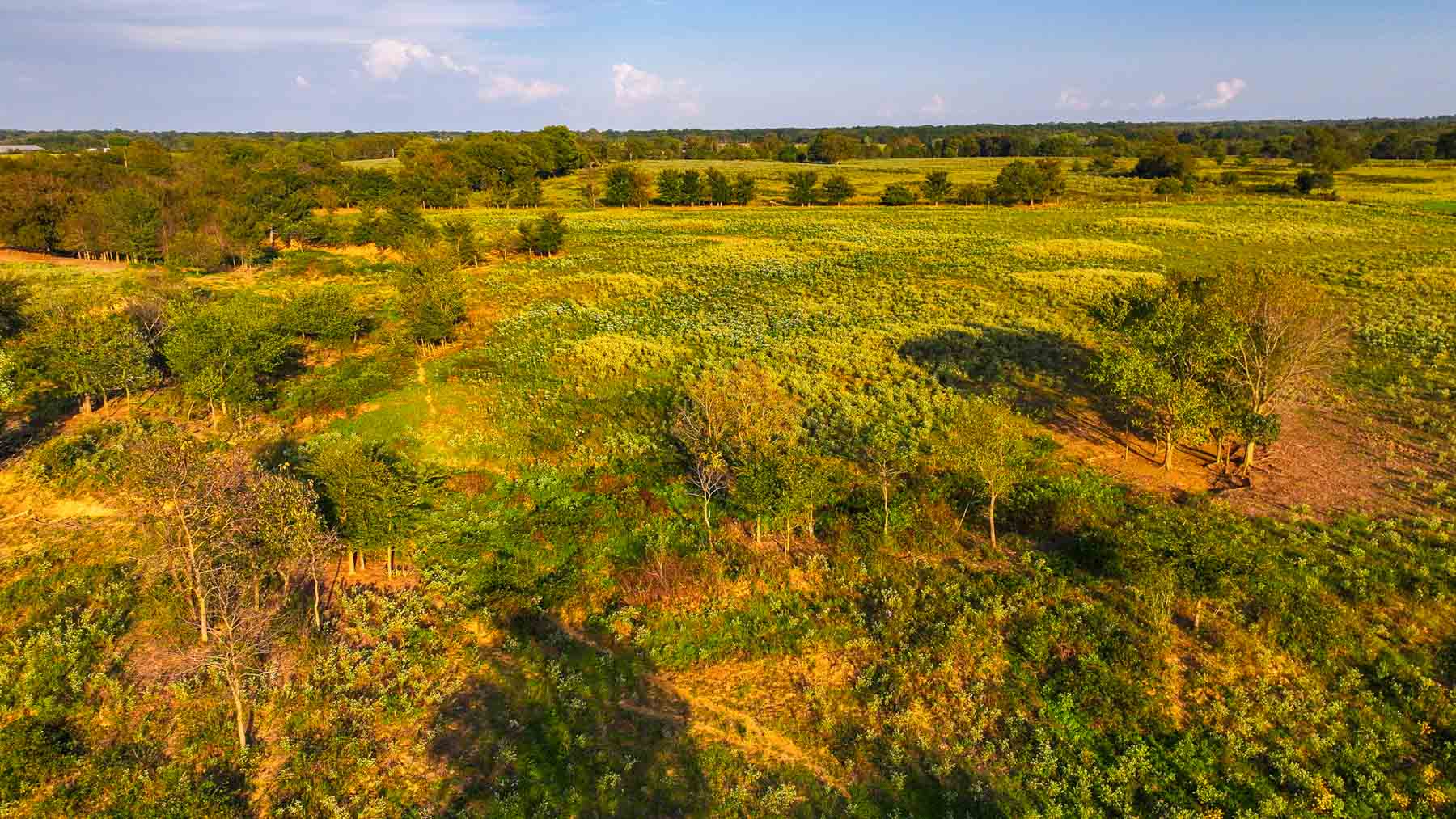 Keota Ranch property picture 46 of 60