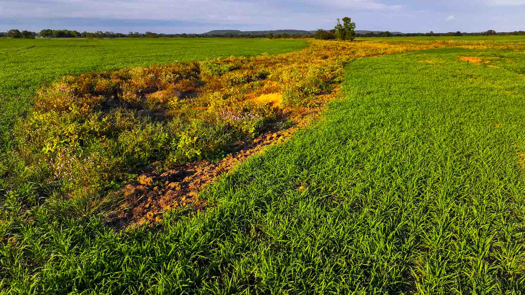 Keota Ranch property picture 32 of 60