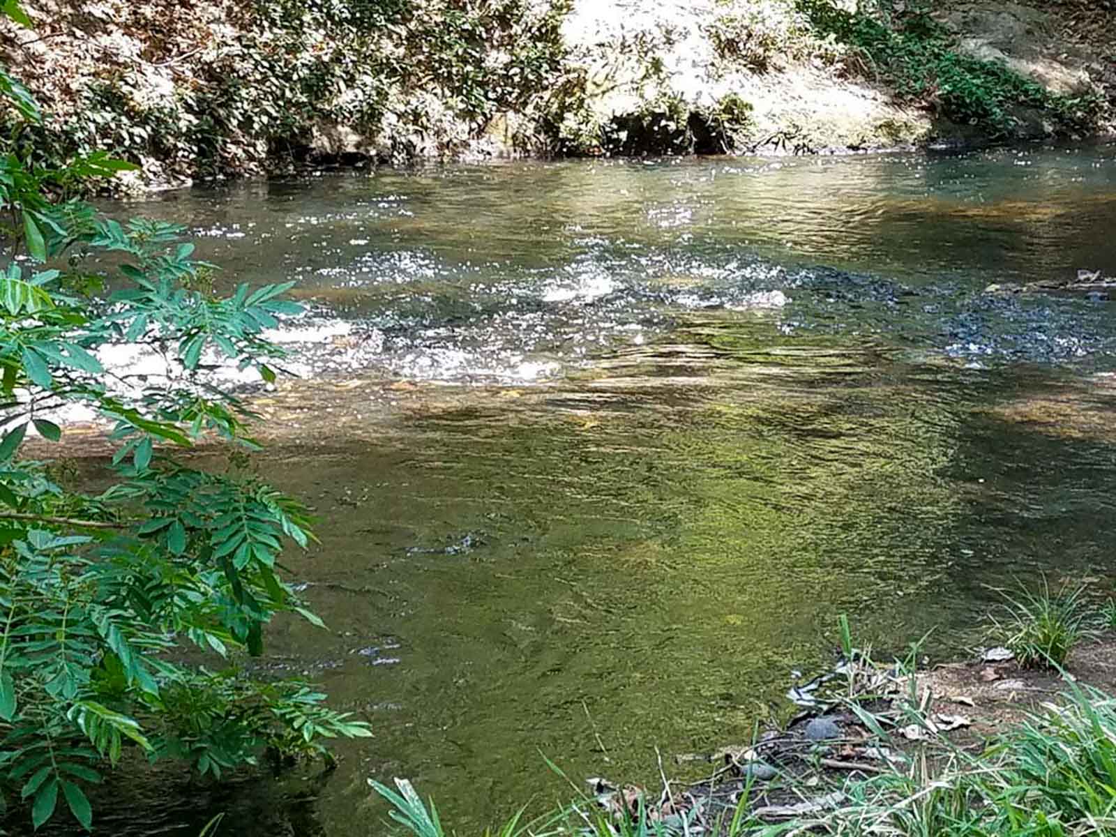 Las Loras Ranch property picture 16 of 30