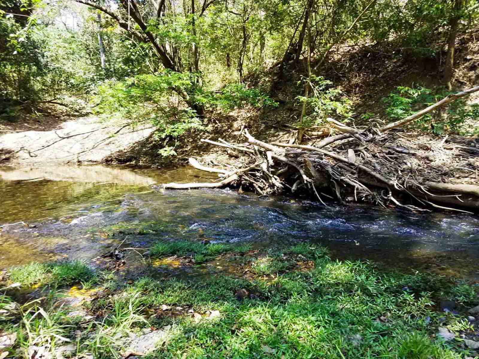 Las Loras Ranch property picture 15 of 30