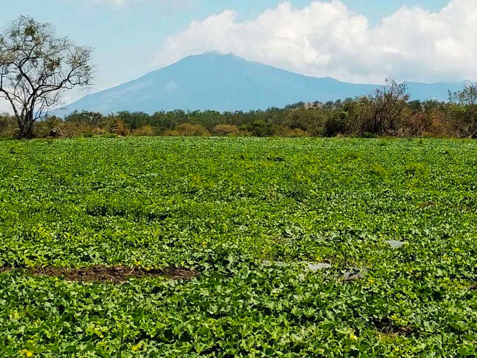 Las Loras Ranch property picture 9 of 30
