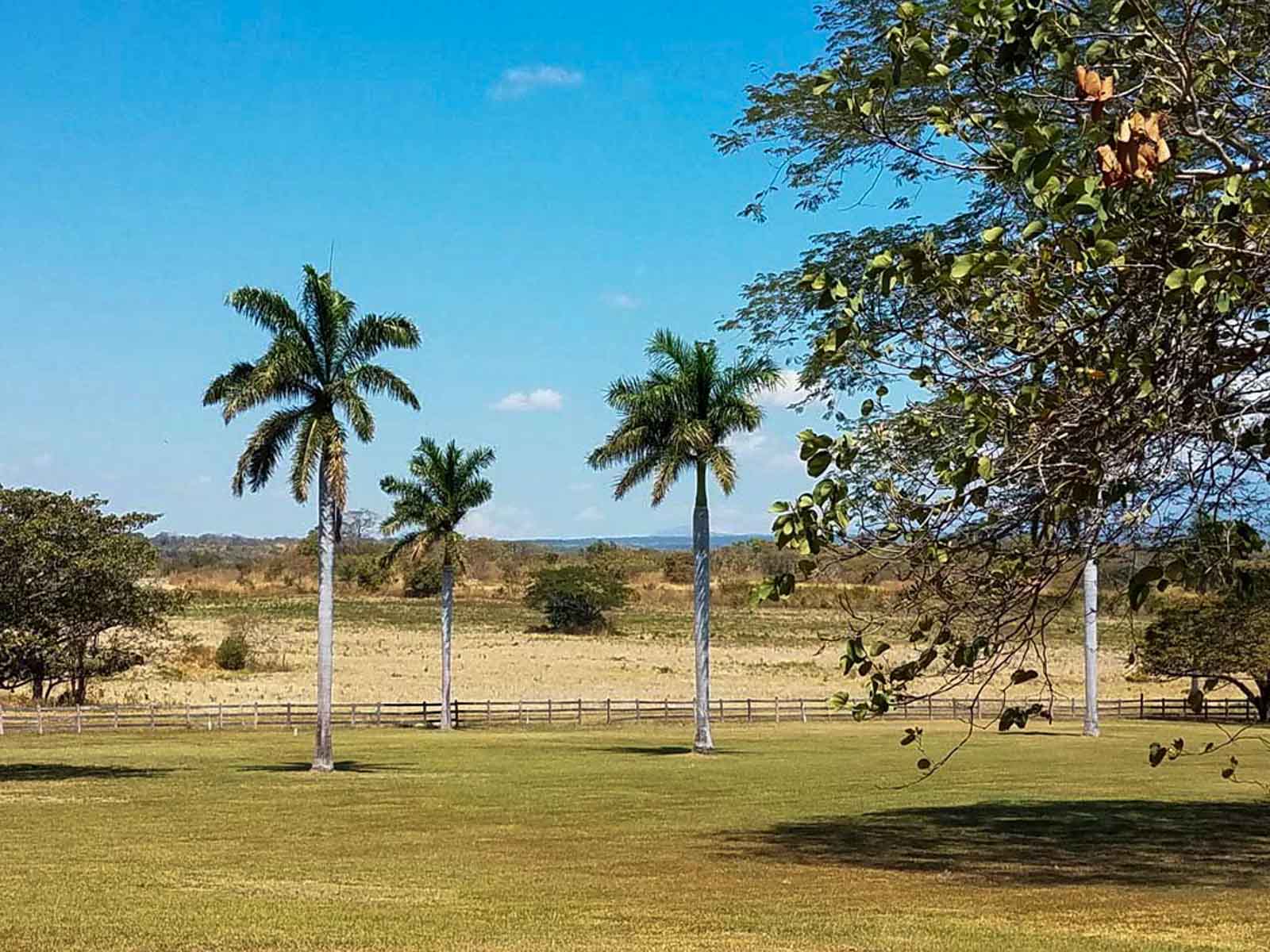 Las Loras Ranch property picture 26 of 30