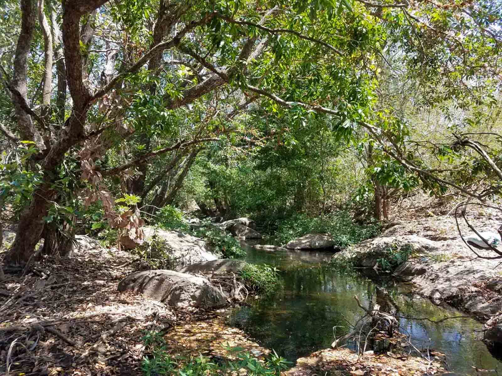 Las Loras Ranch property picture 4 of 30