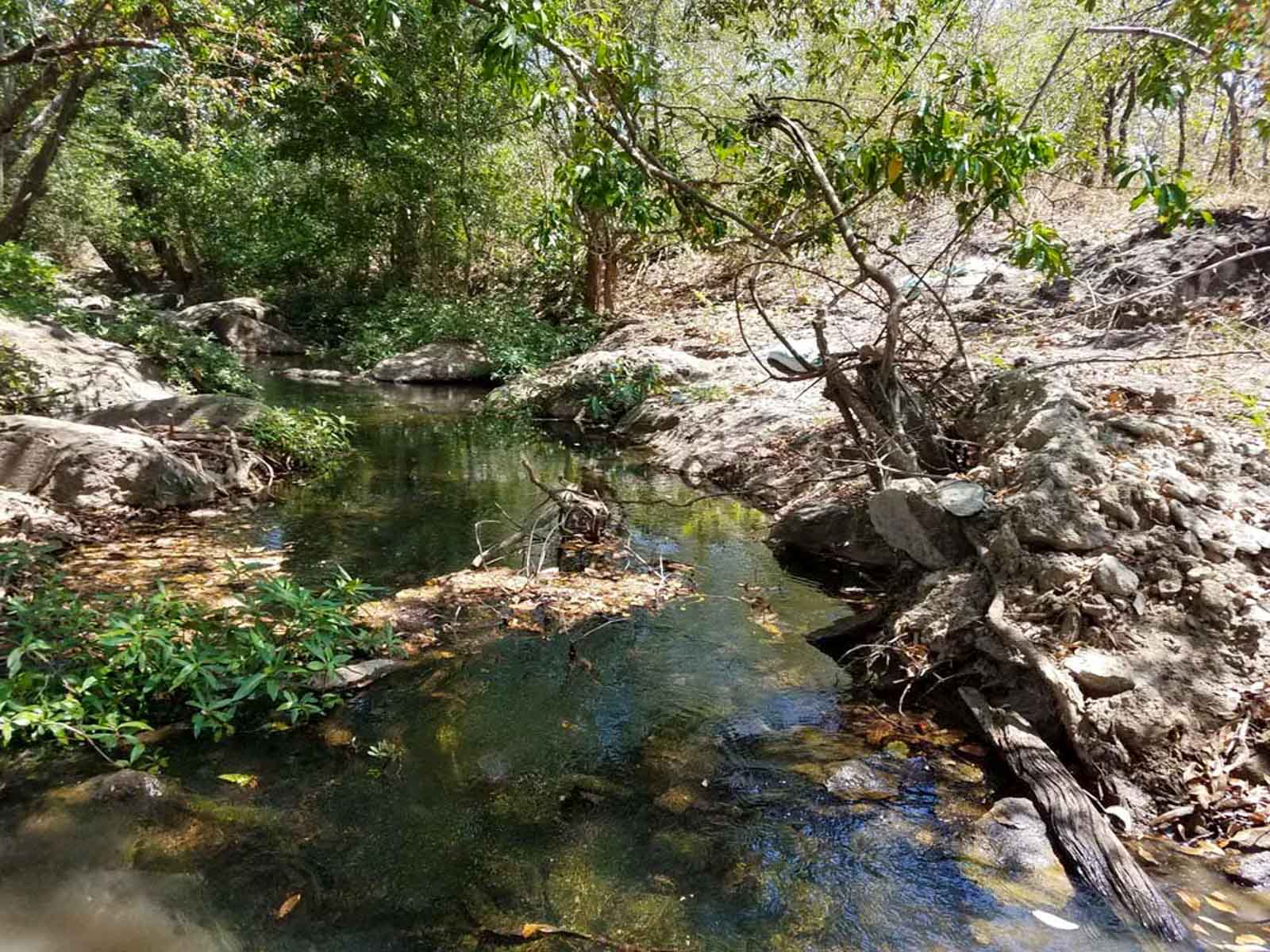 Las Loras Ranch property picture 7 of 30