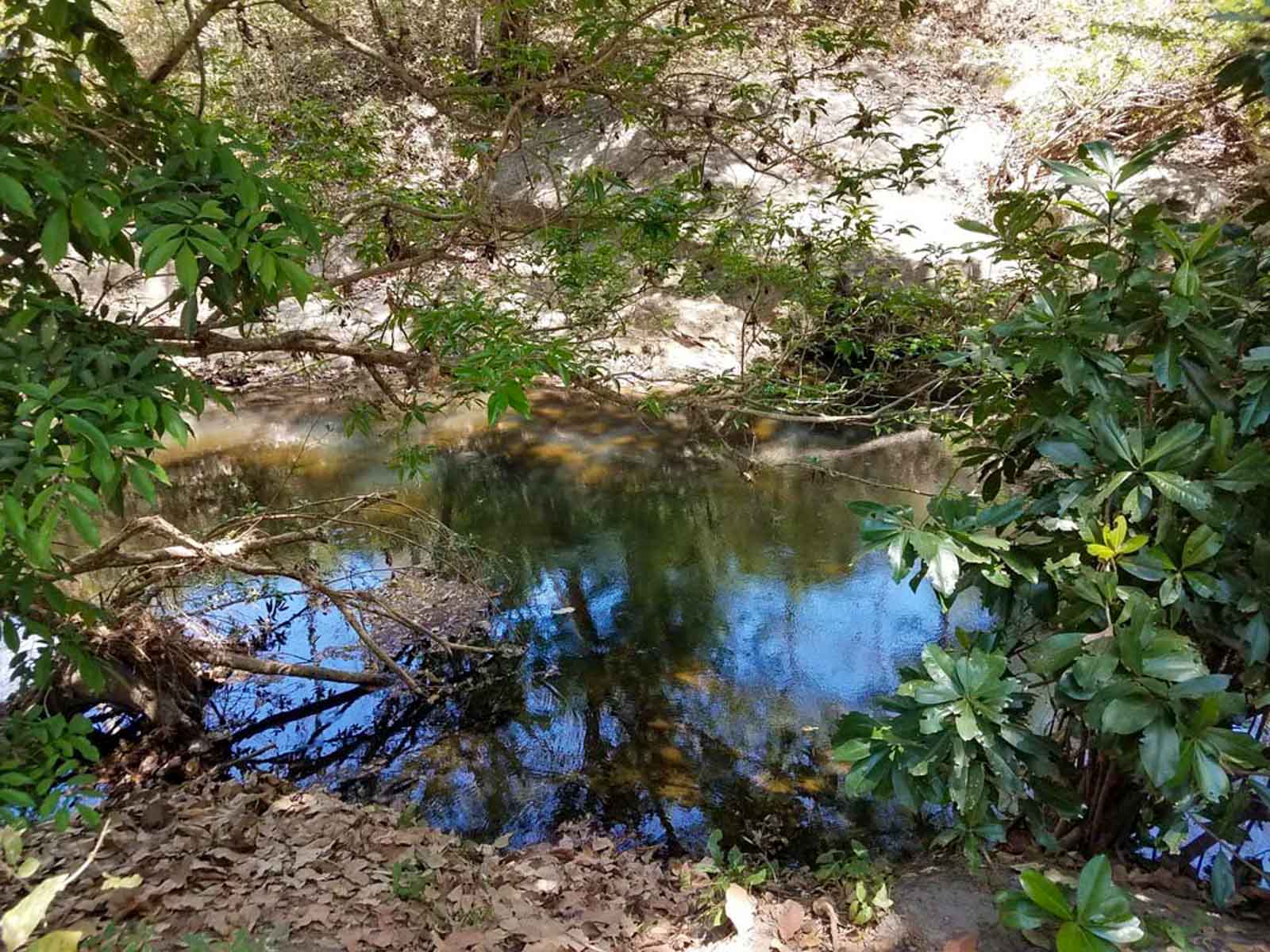 Las Loras Ranch property picture 17 of 30