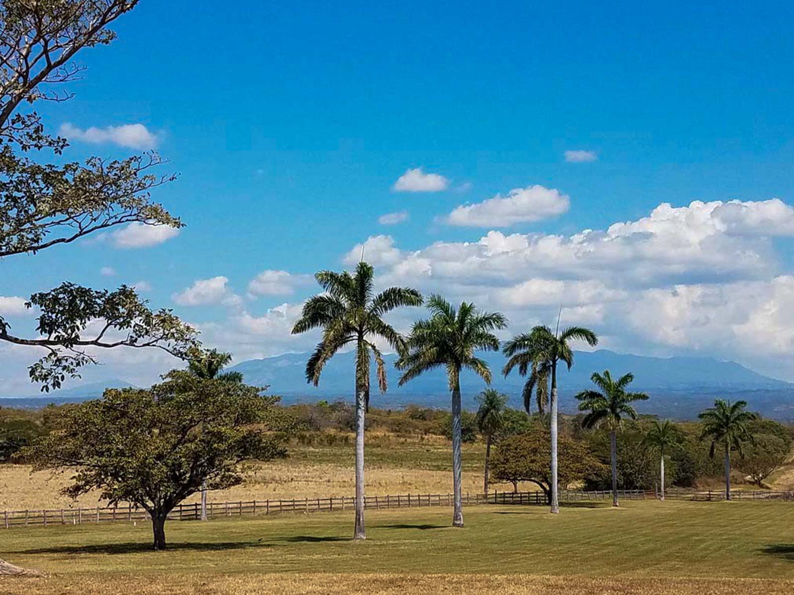 Las Loras Ranch property picture 27 of 30