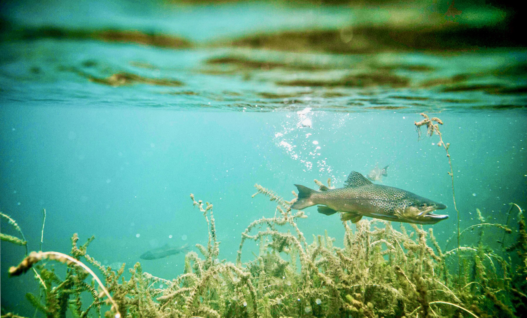 Estancia Lago Central property picture 8 of 88