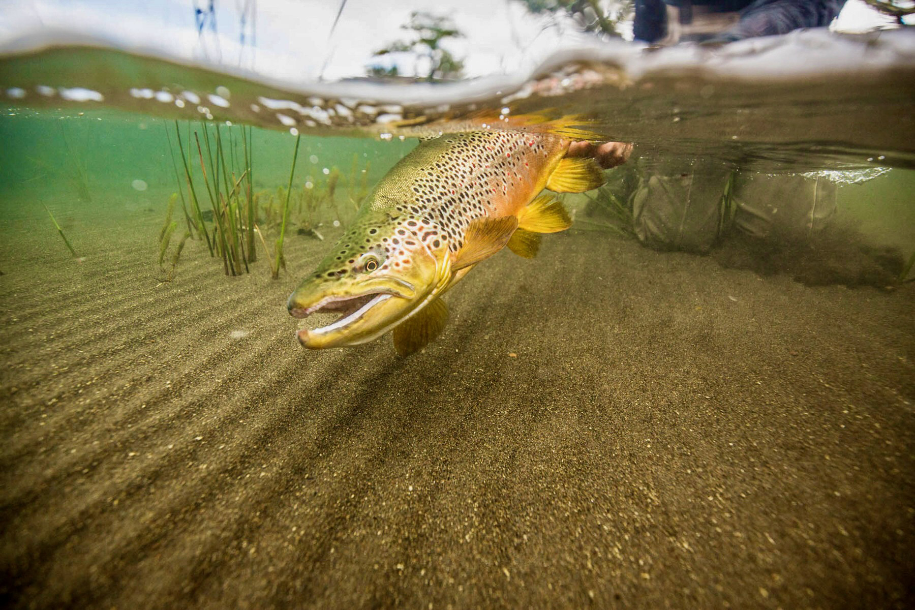 Estancia Lago Central property picture 2 of 88