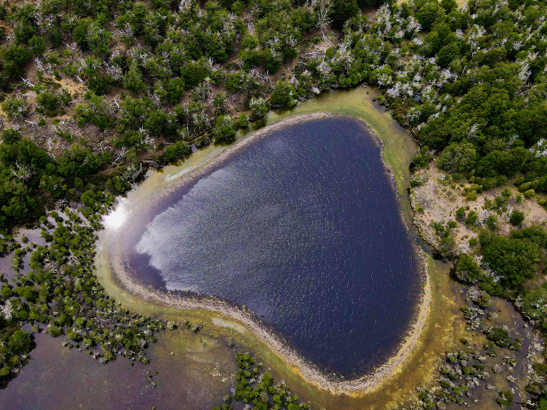 Estancia Lago Central property picture 47 of 88