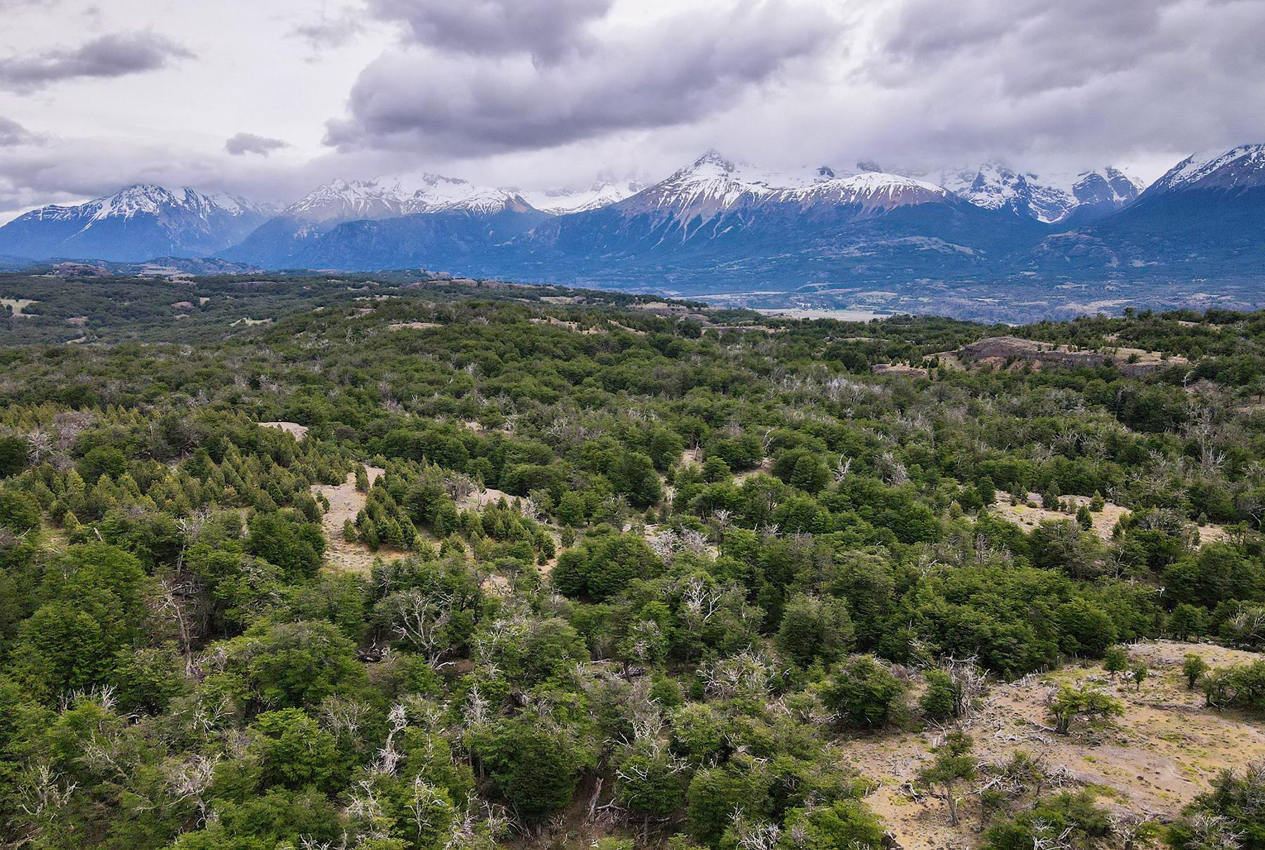 Estancia Lago Central property picture 21 of 88