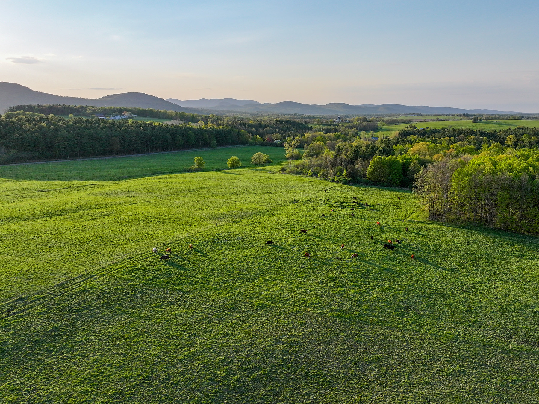 Lewis Family Farm property picture 51 of 51