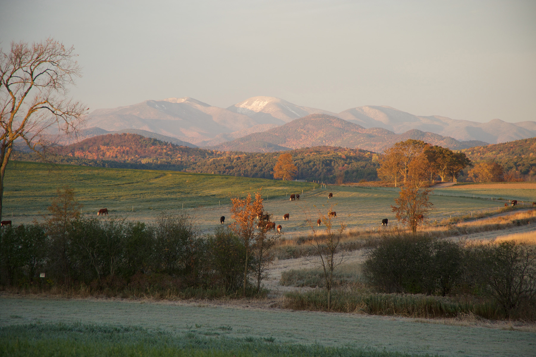 Lewis Family Farm property picture 40 of 51
