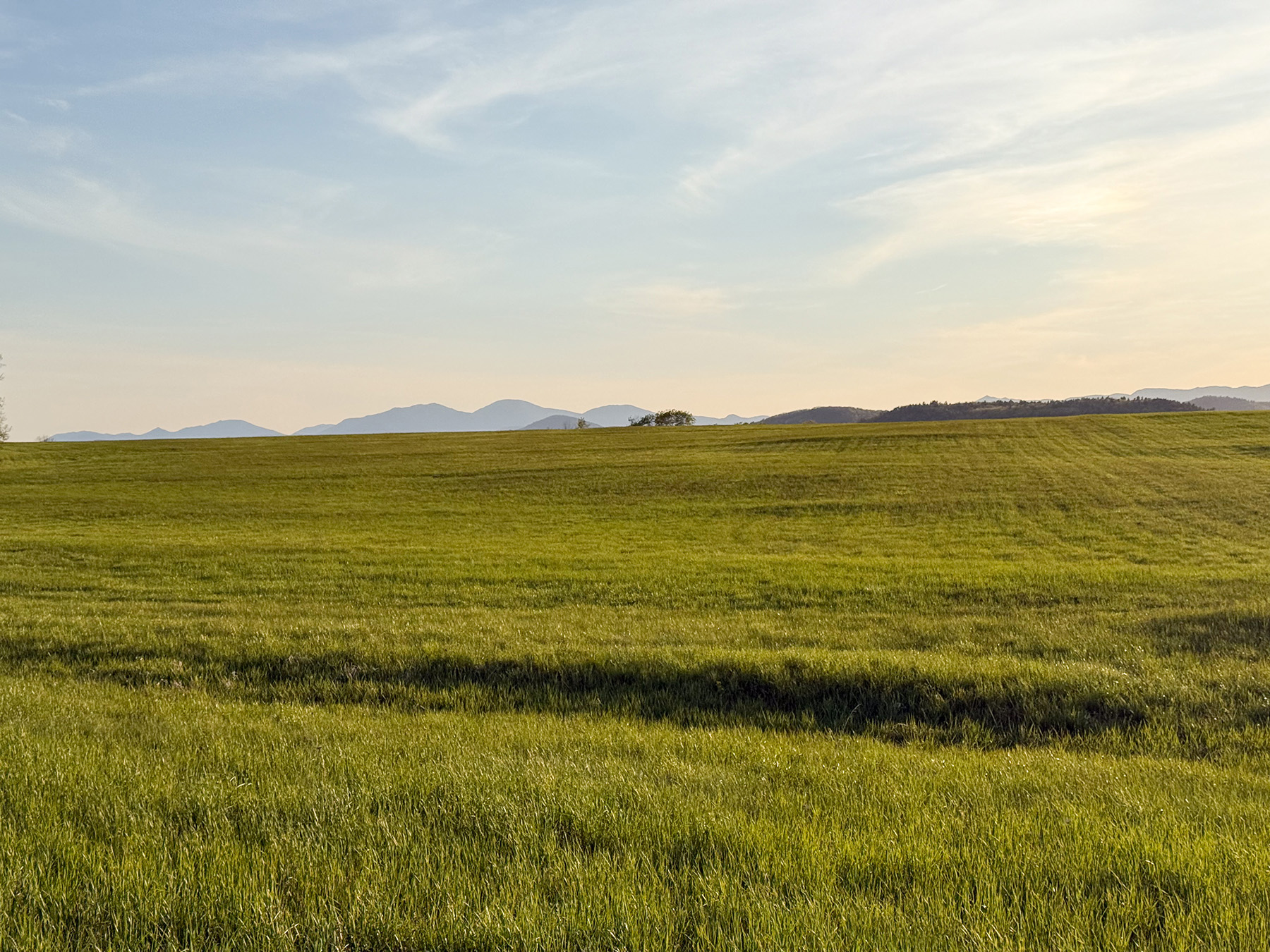 Lewis Family Farm property picture 50 of 51