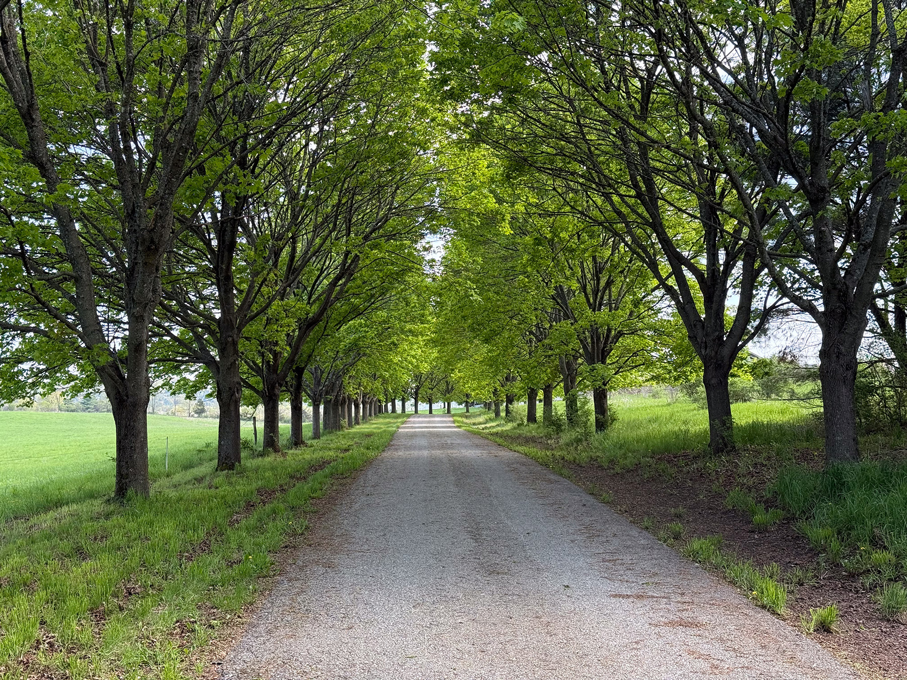 Lewis Family Farm property picture 7 of 51