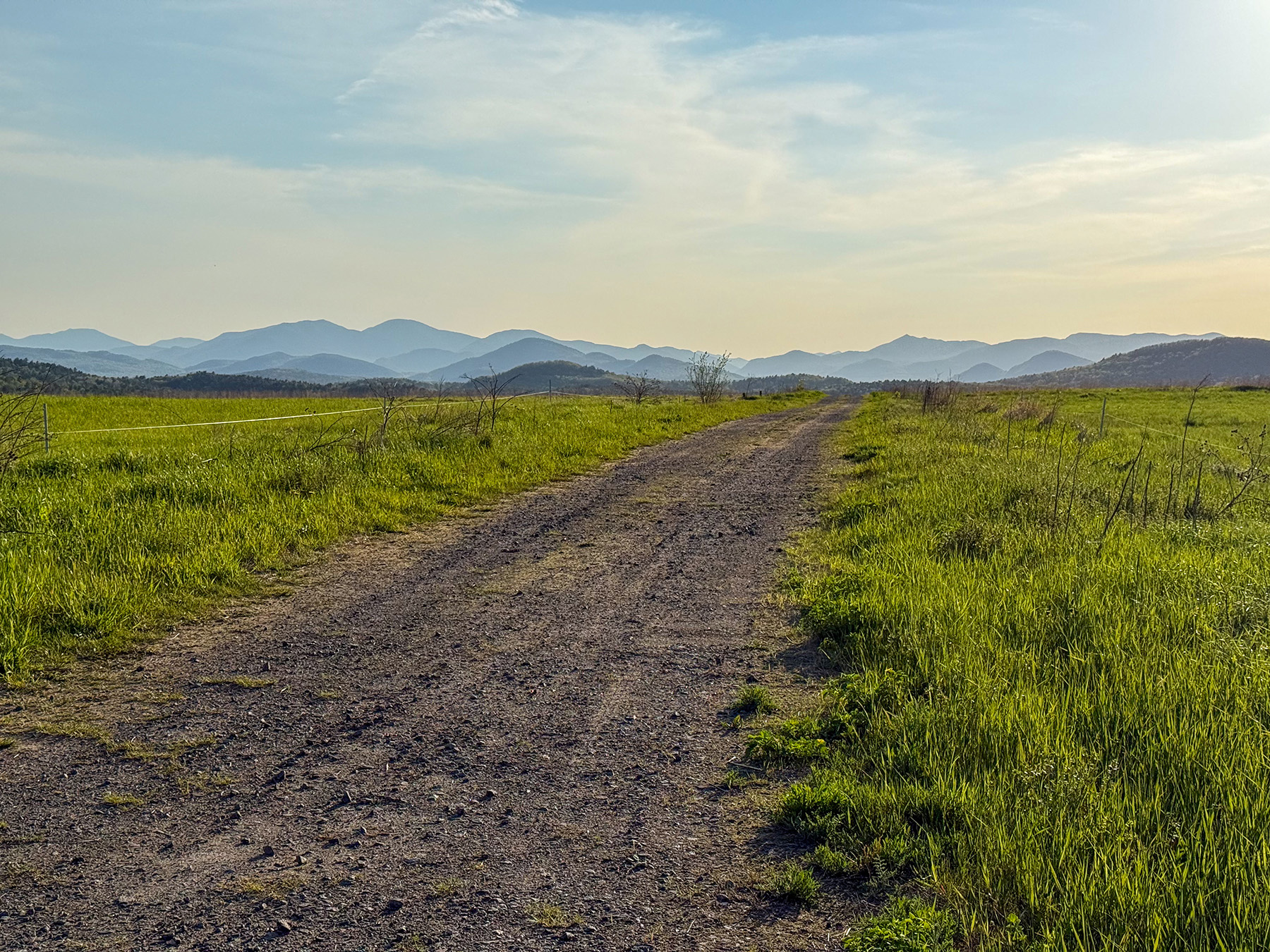 Lewis Family Farm property picture 35 of 51
