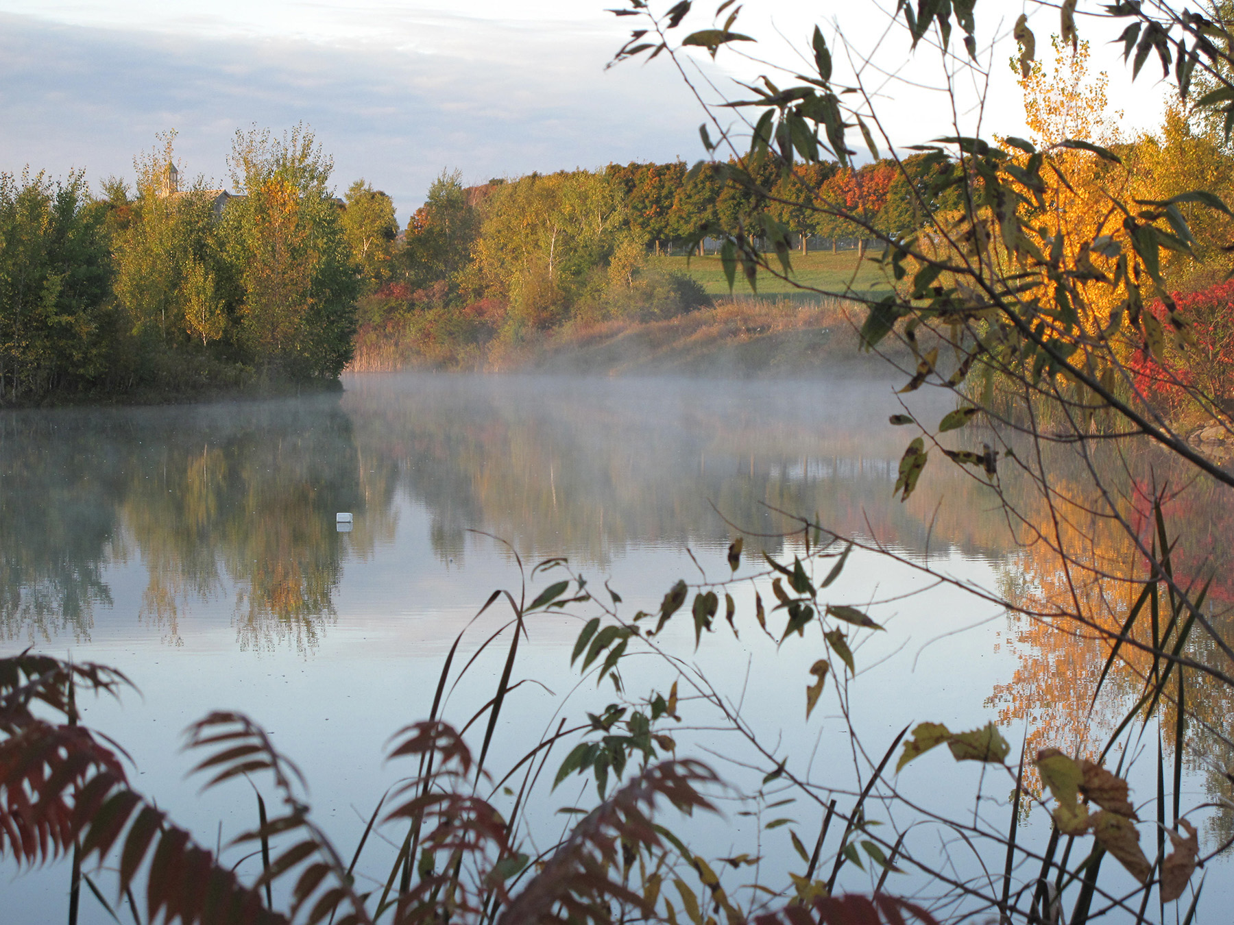 Lewis Family Farm property picture 44 of 51