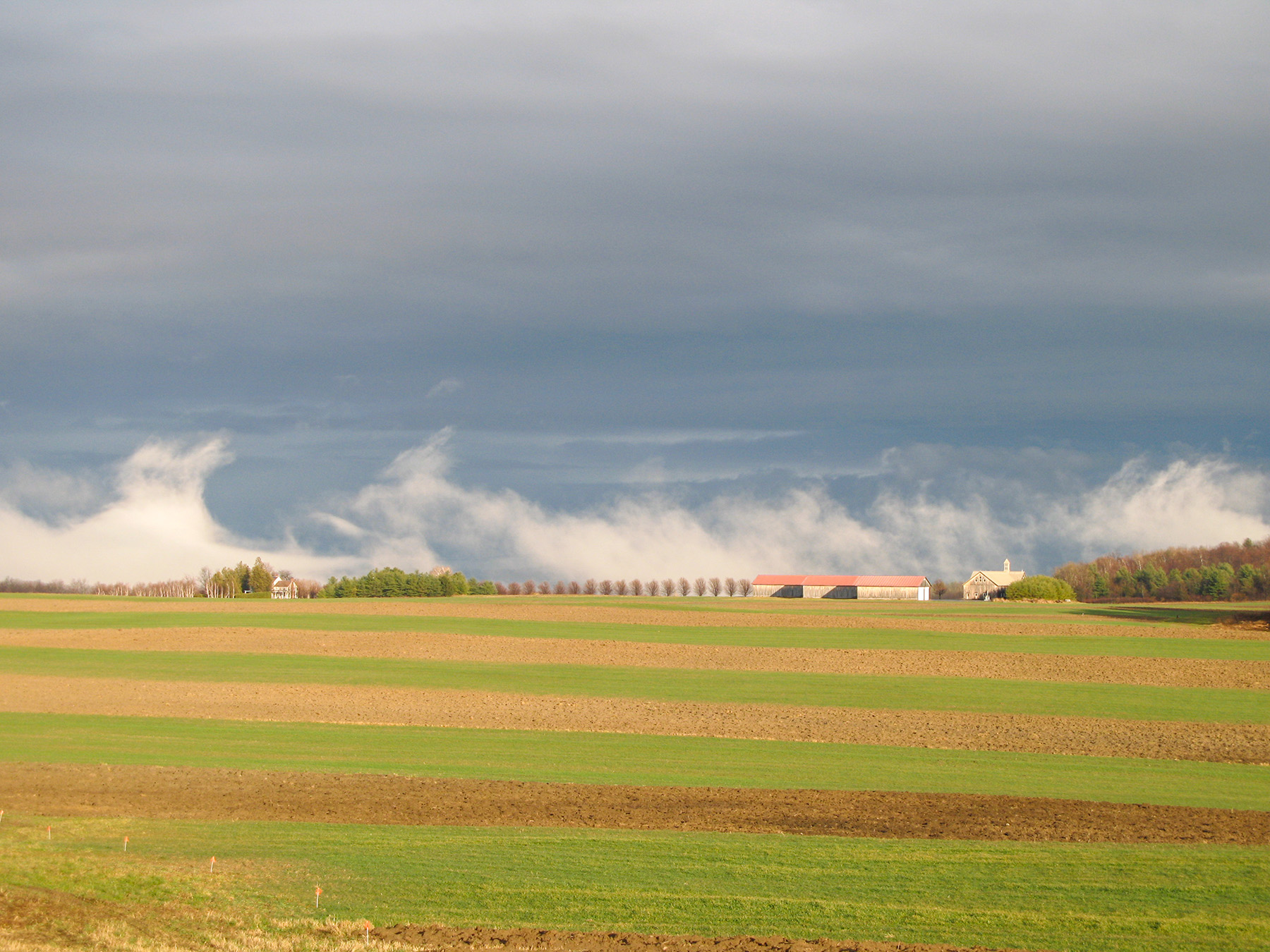 Lewis Family Farm property picture 41 of 51