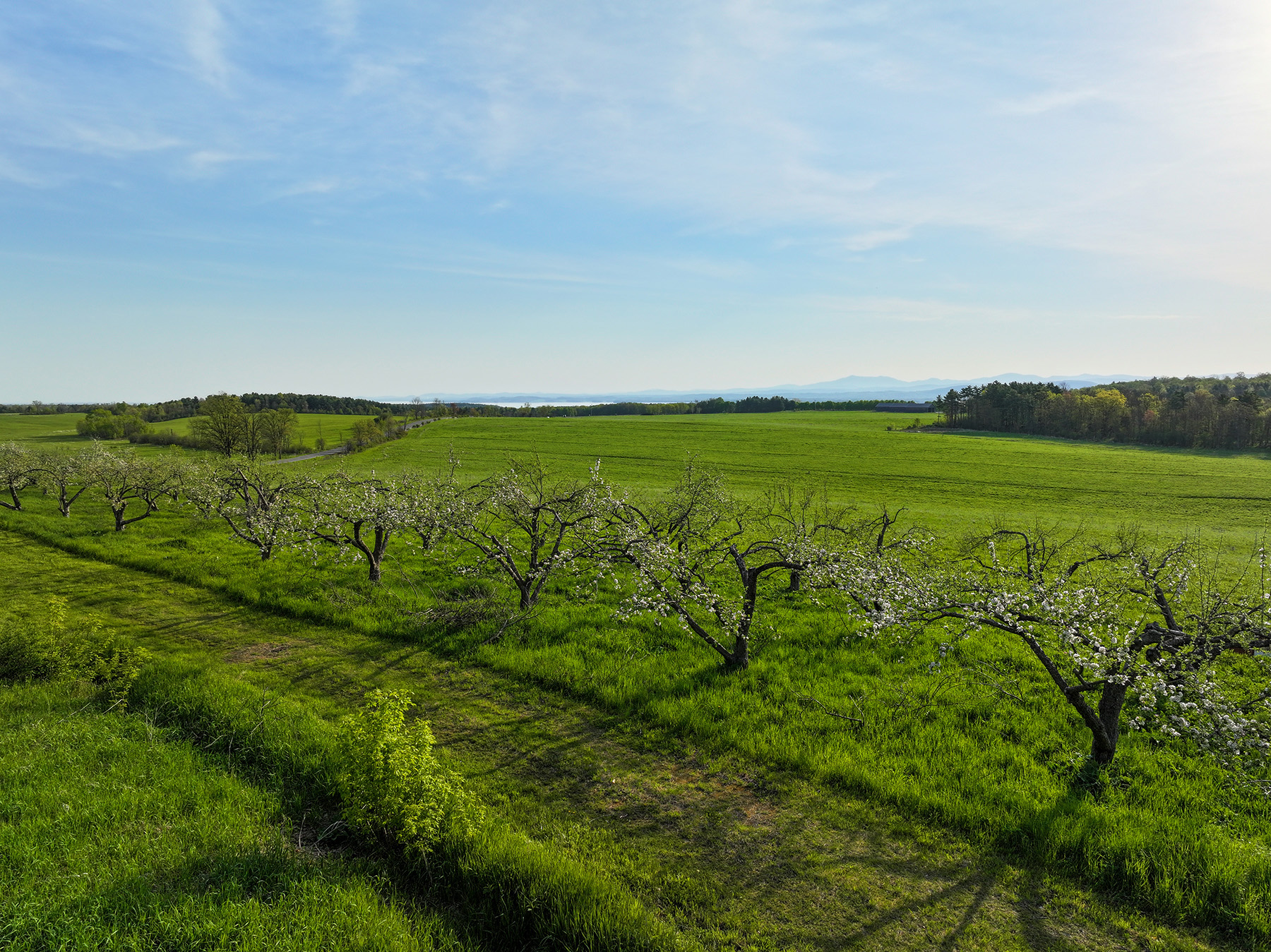 Lewis Family Farm property picture 18 of 51