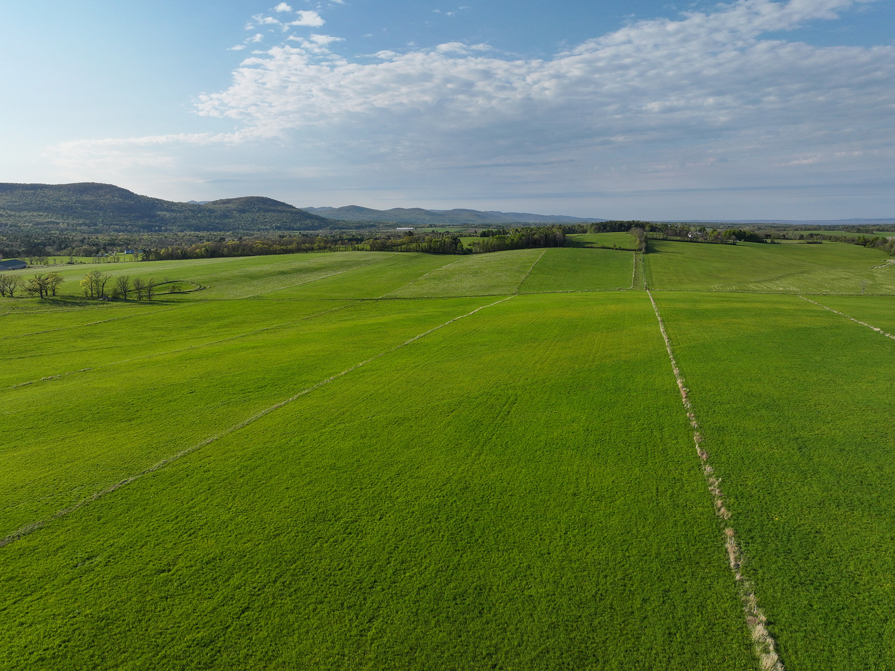 Lewis Family Farm property picture 30 of 51
