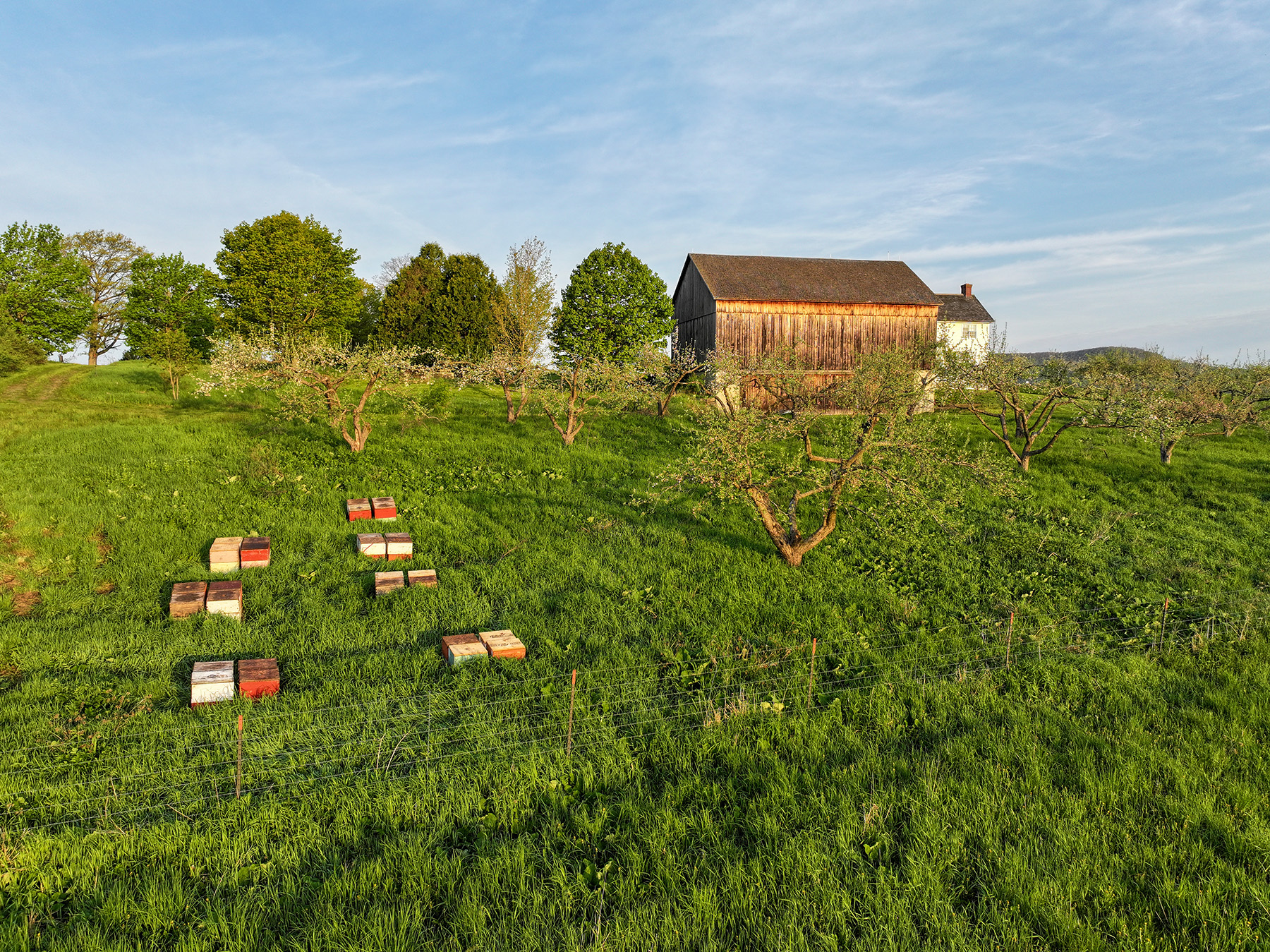 Lewis Family Farm property picture 24 of 51