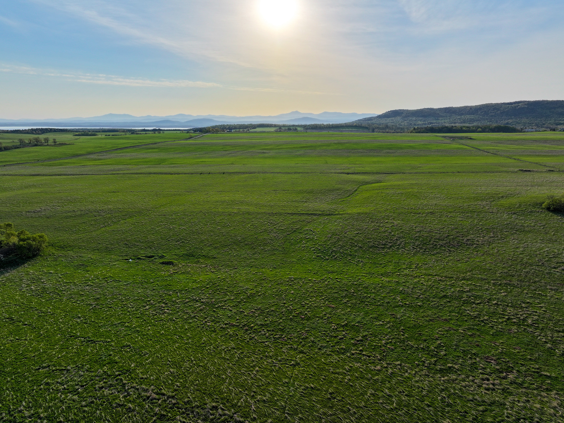 Lewis Family Farm property picture 47 of 51