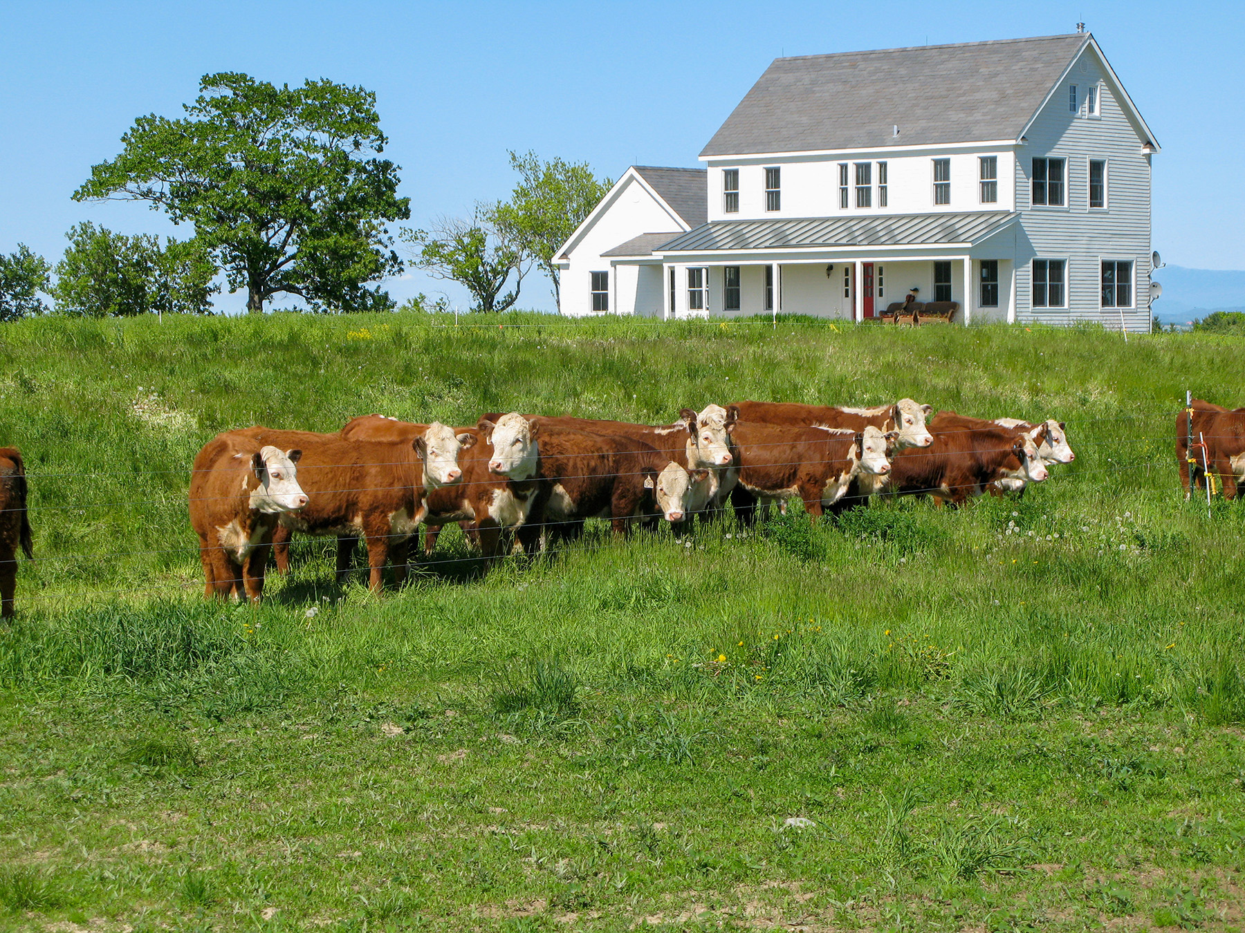 Lewis Family Farm property picture 26 of 51