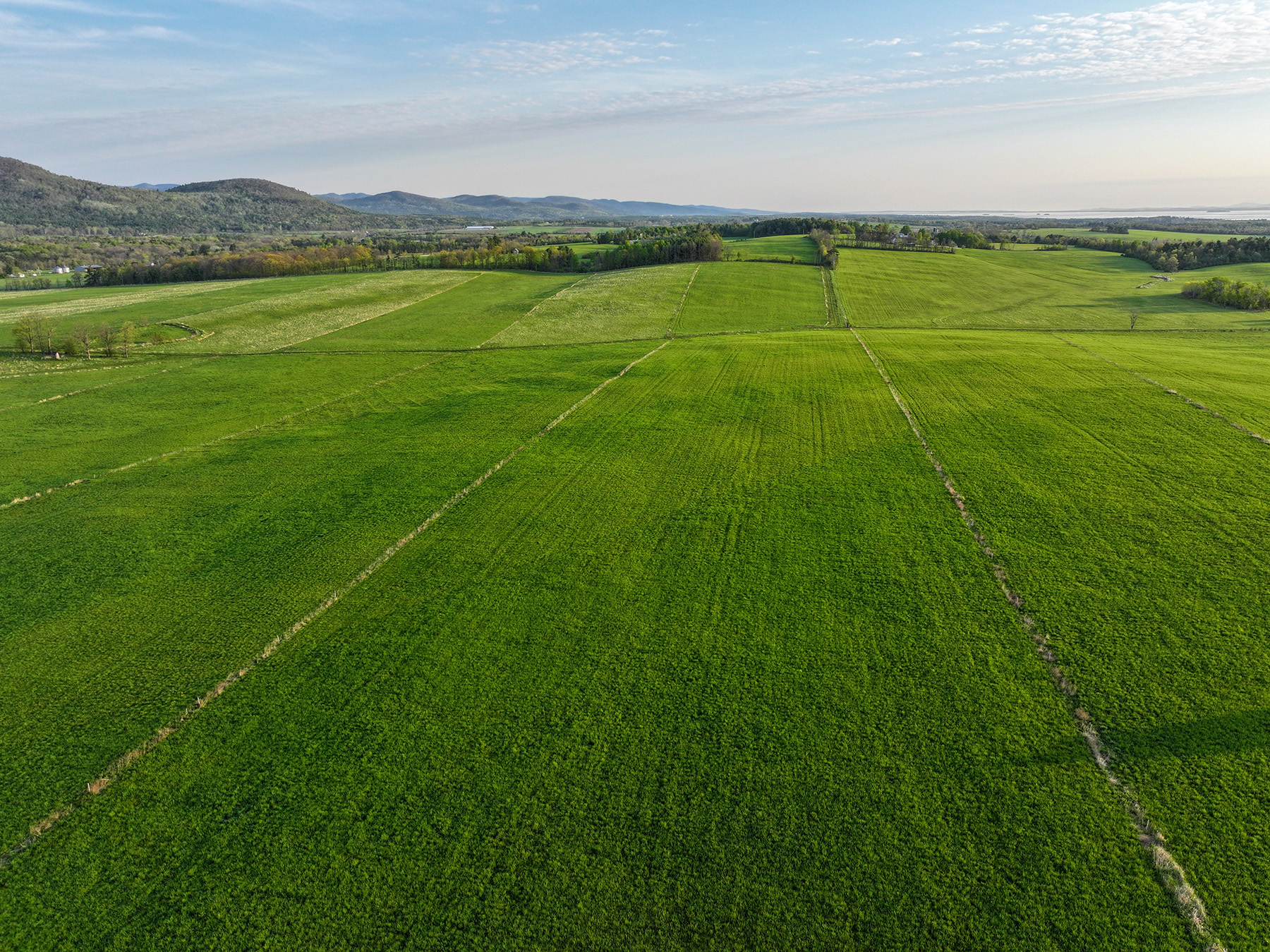 Lewis Family Farm property picture 15 of 51