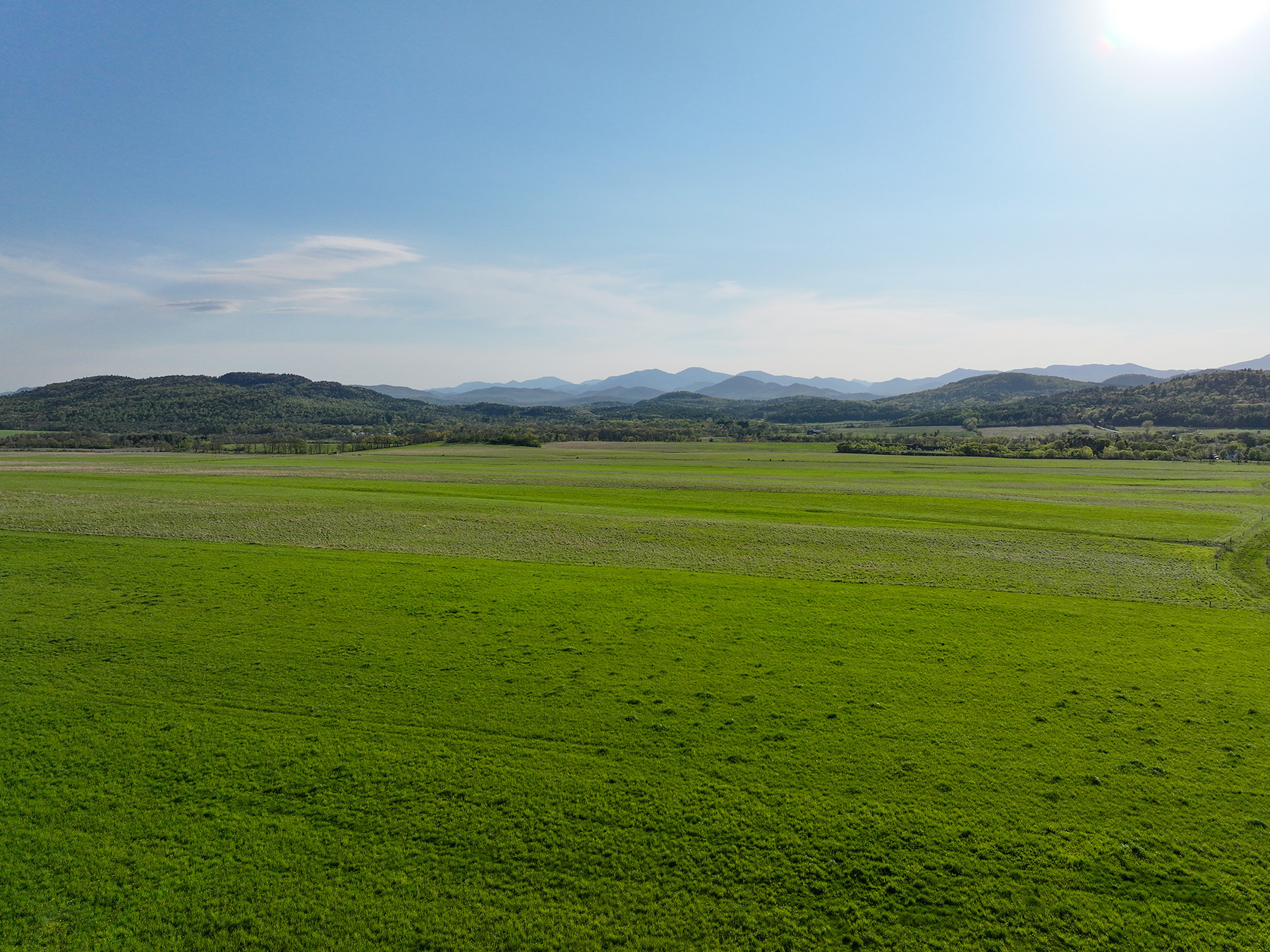 Lewis Family Farm property picture 4 of 51